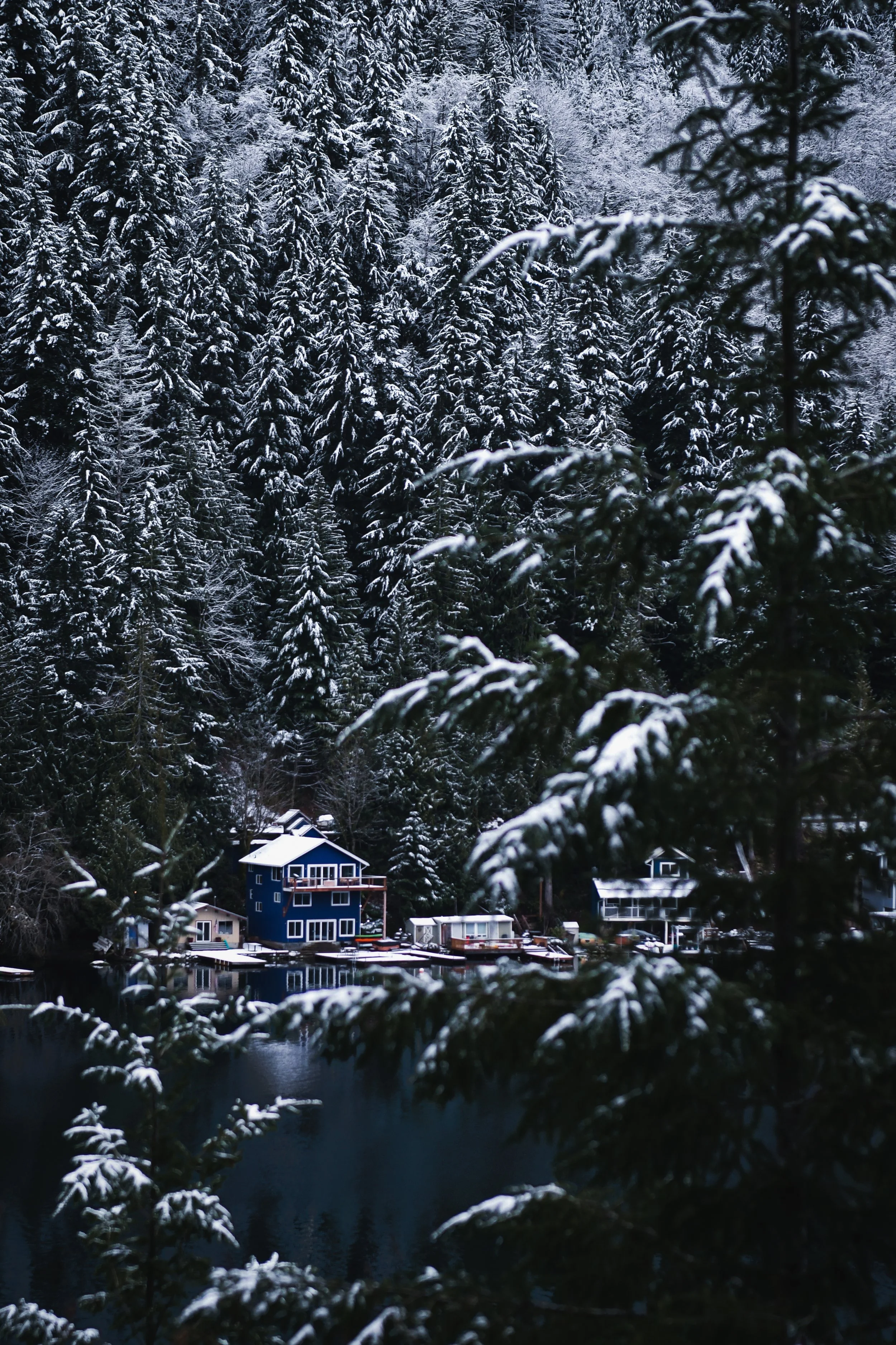 Airbnb Short Term Rental Photography- A snowy winter scene showing tall evergreen trees with snow-covered branches and a small neighborhood of houses near a body of water.
