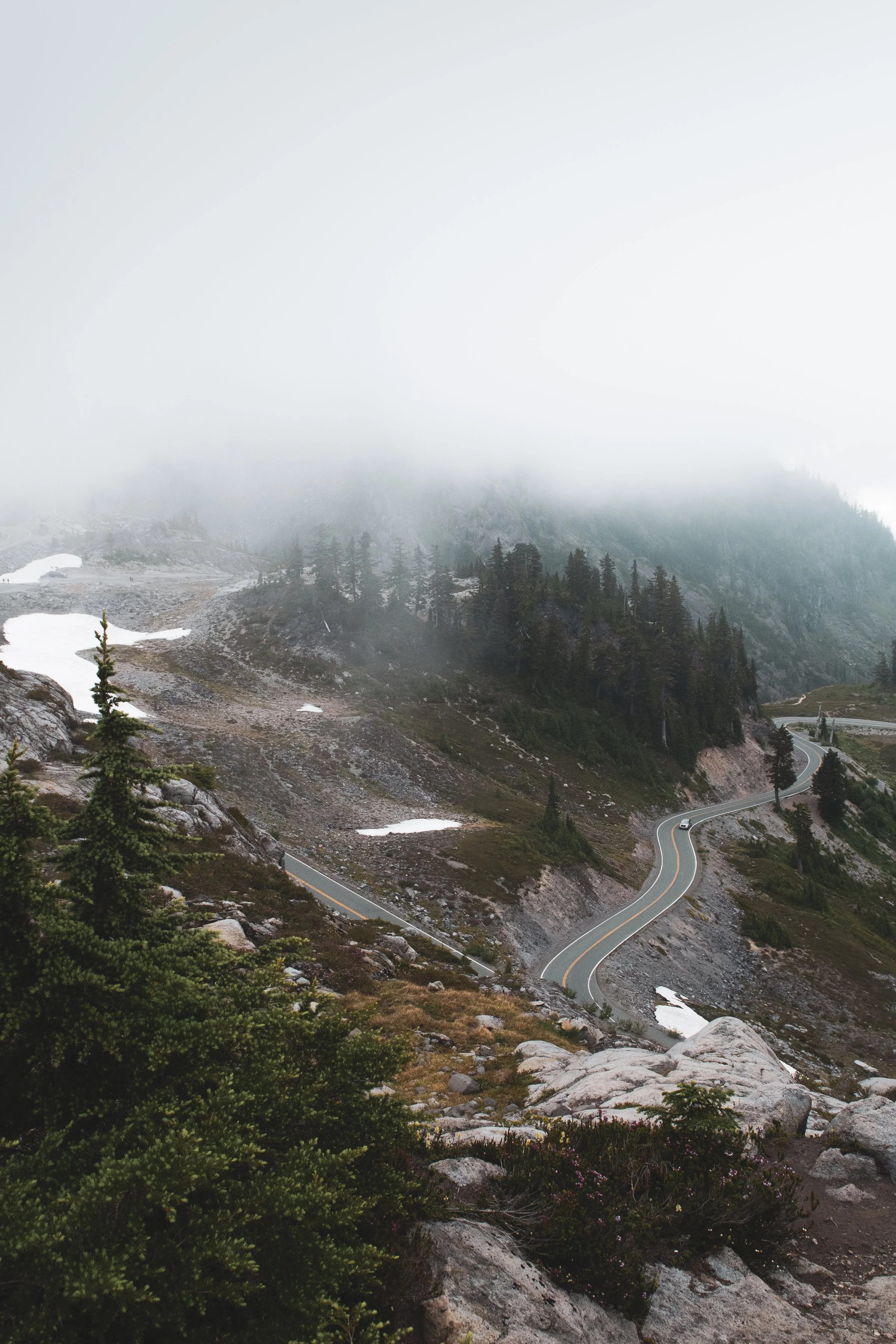 Dreaming of Northern Washington