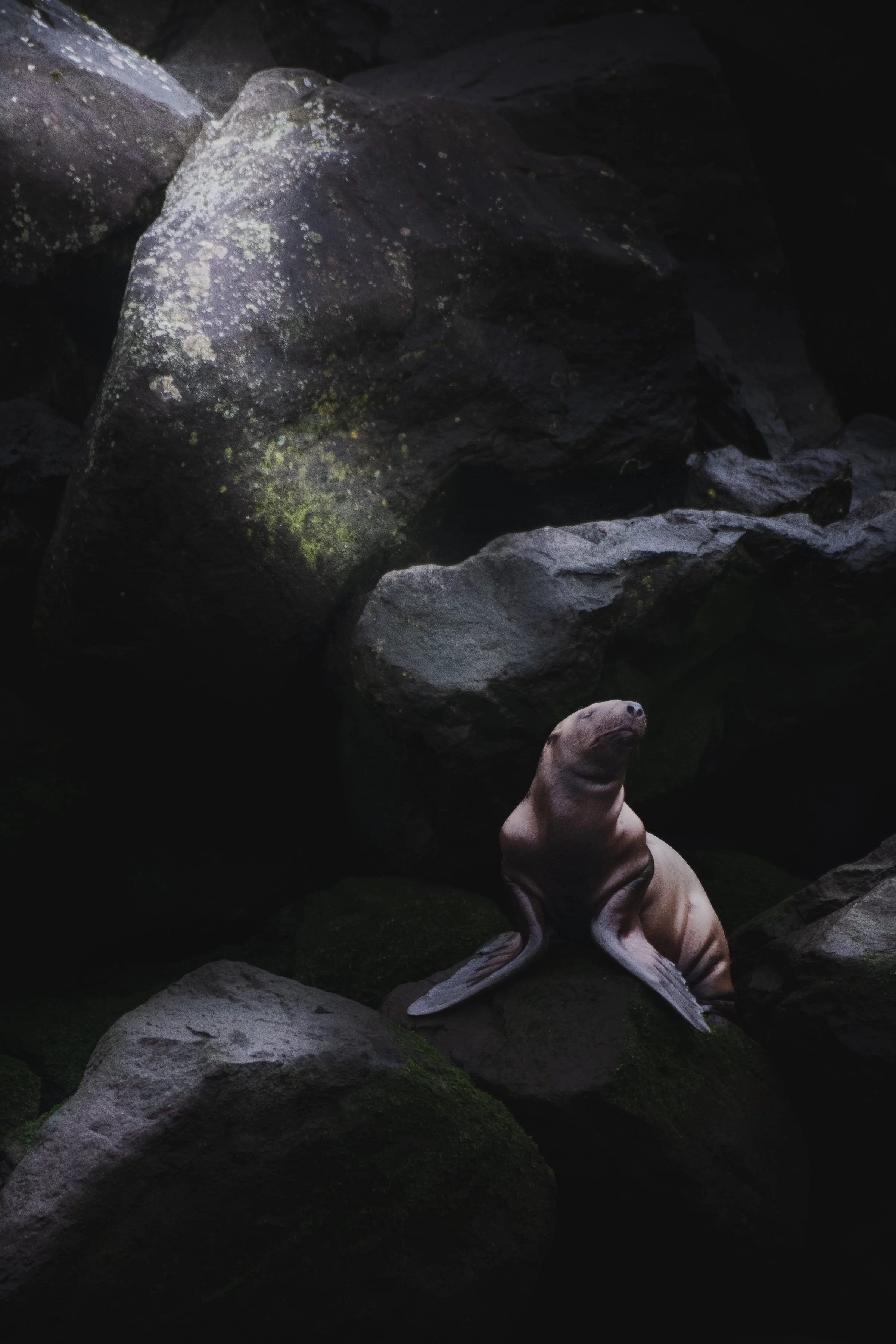 Sea Model- Final.jpg