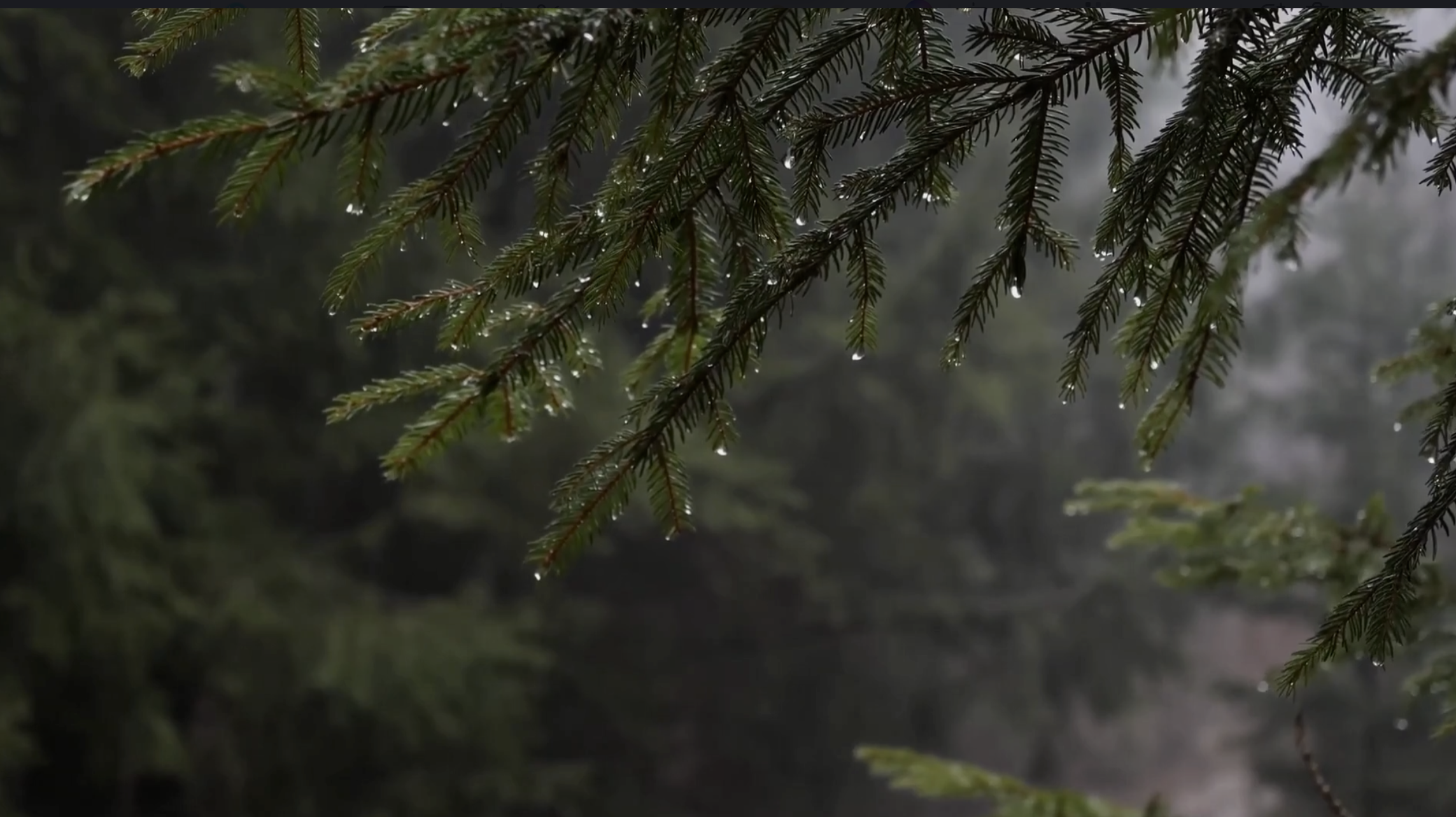 Screenshot 2026-03-11 at 10.02.27 PM.png