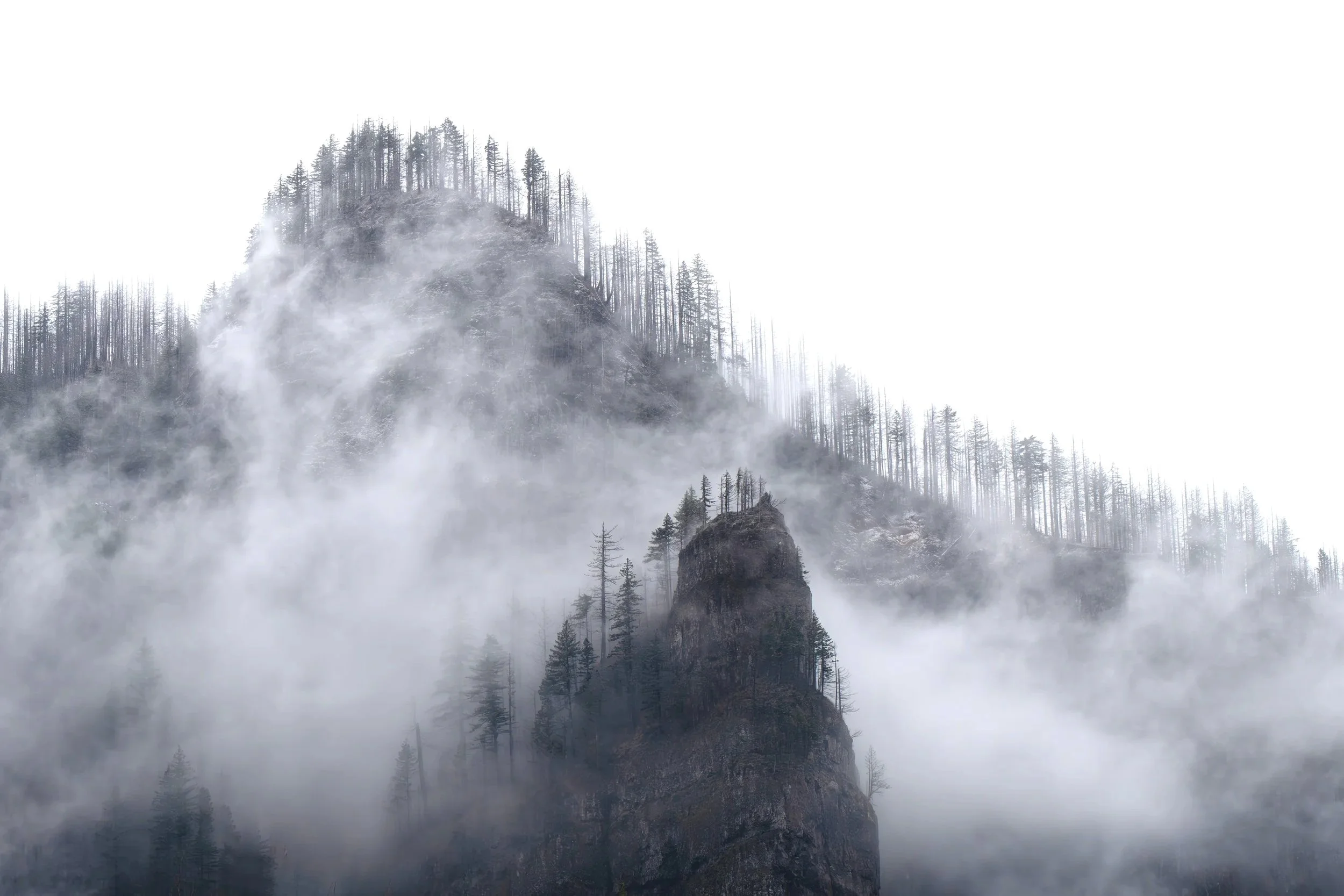 Winter Gorge.jpg