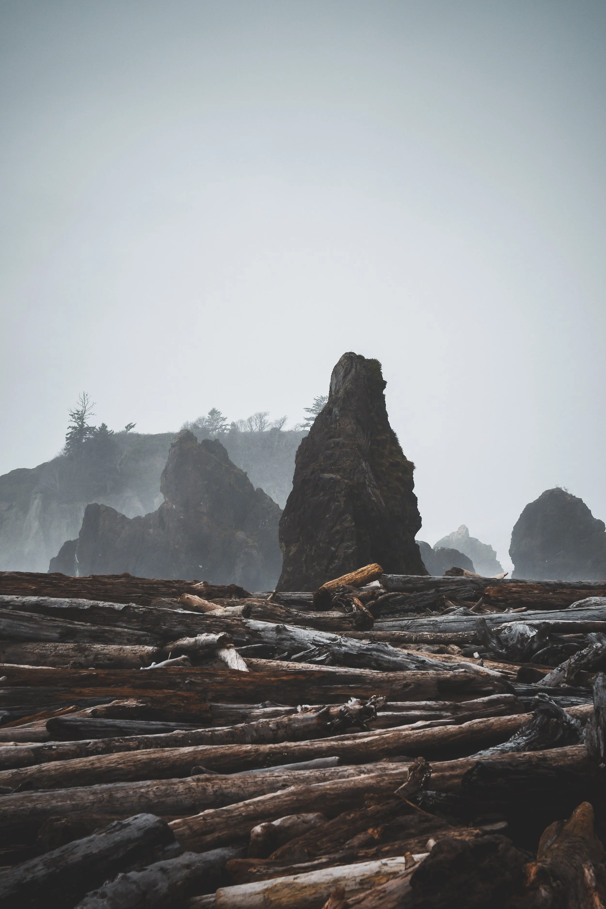 A foggy Ruby Beach with large dark rocks protruding from the ocean and a pile of driftwood on the shore in the foreground.