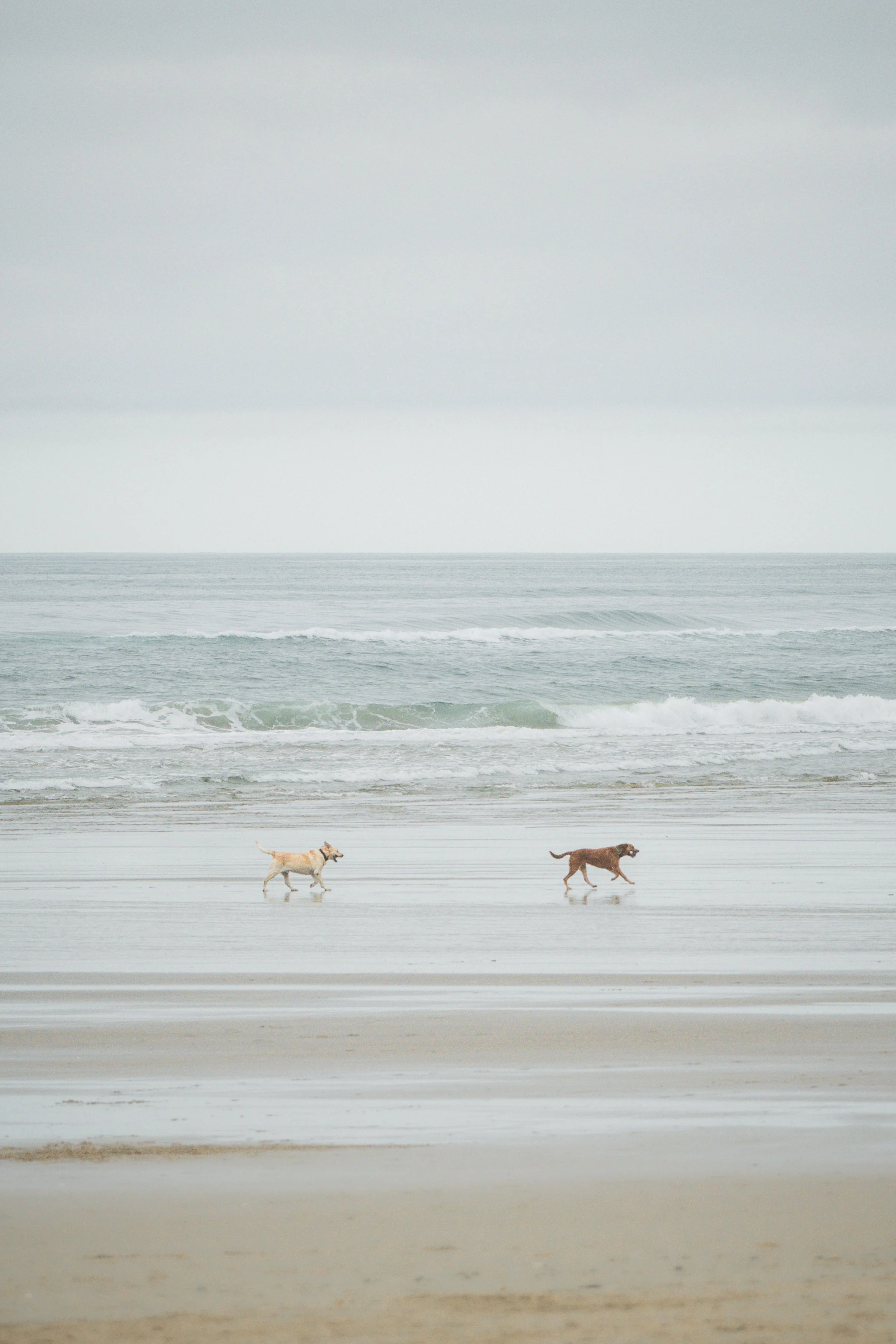 Cannon Beach 10.jpg