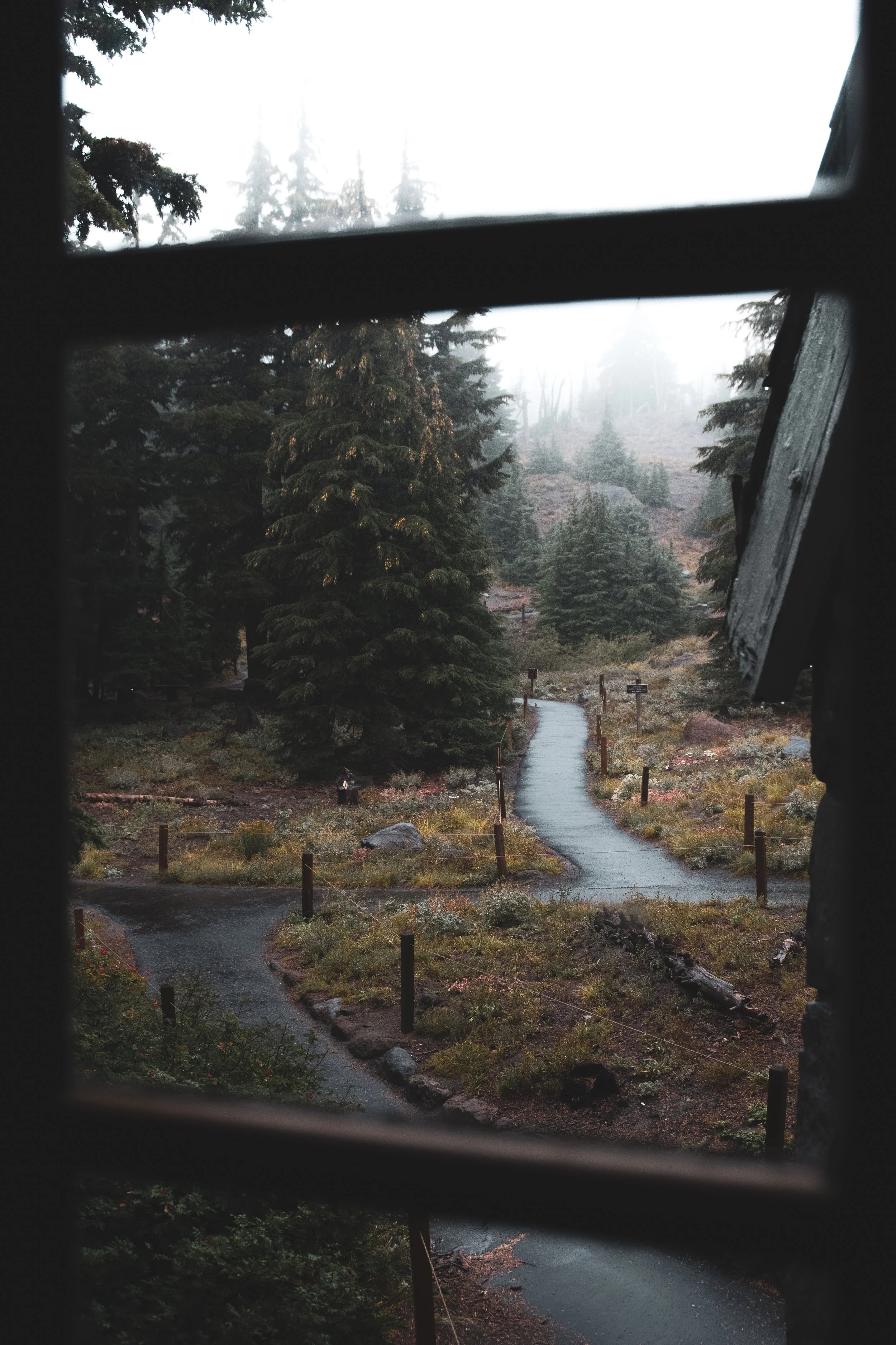 View of a misty forested mountain landscape through a window with black framing. Oregon's Timberline Lodge