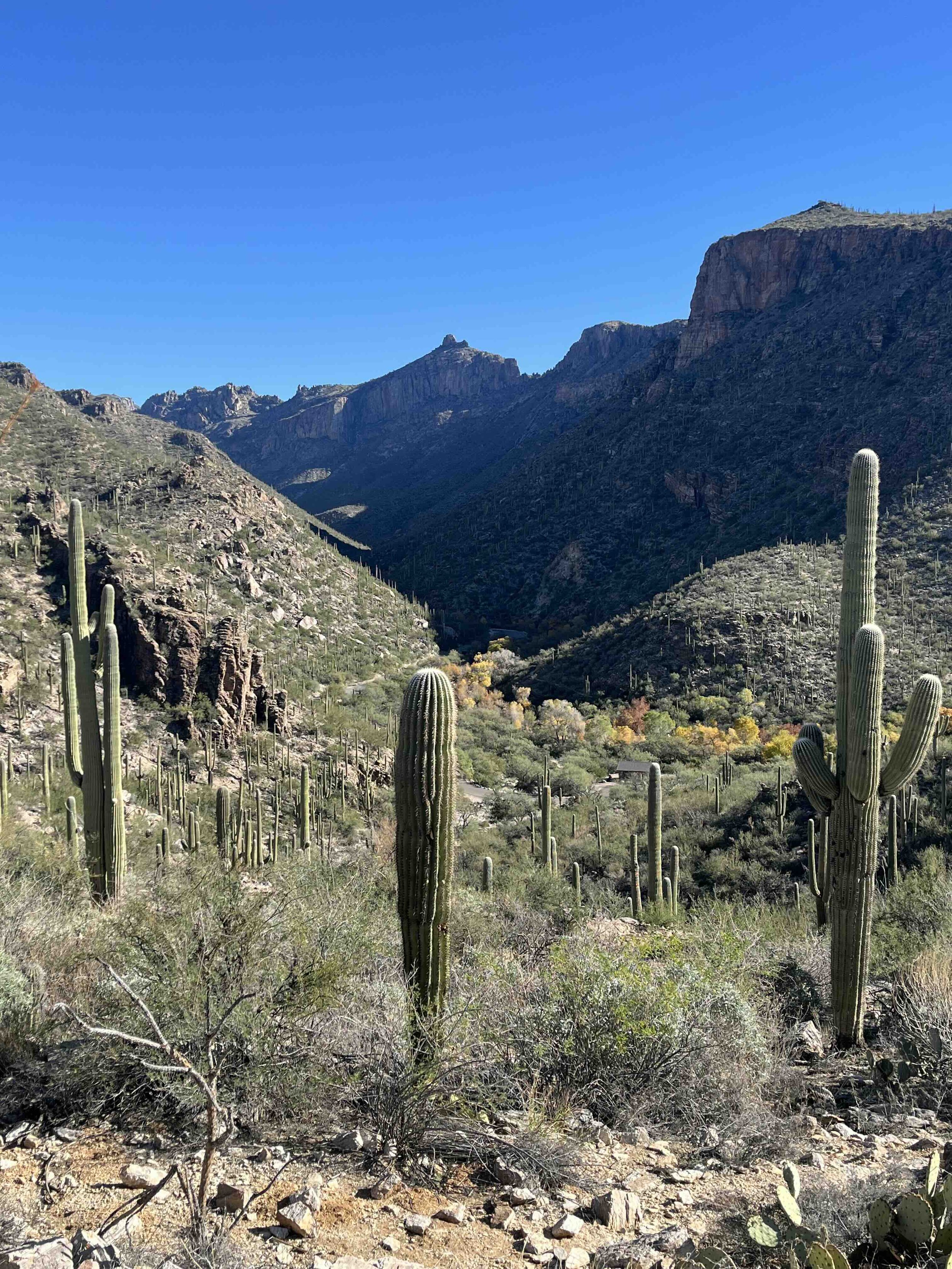 You Don’t Need More Content, You Need More Experiences