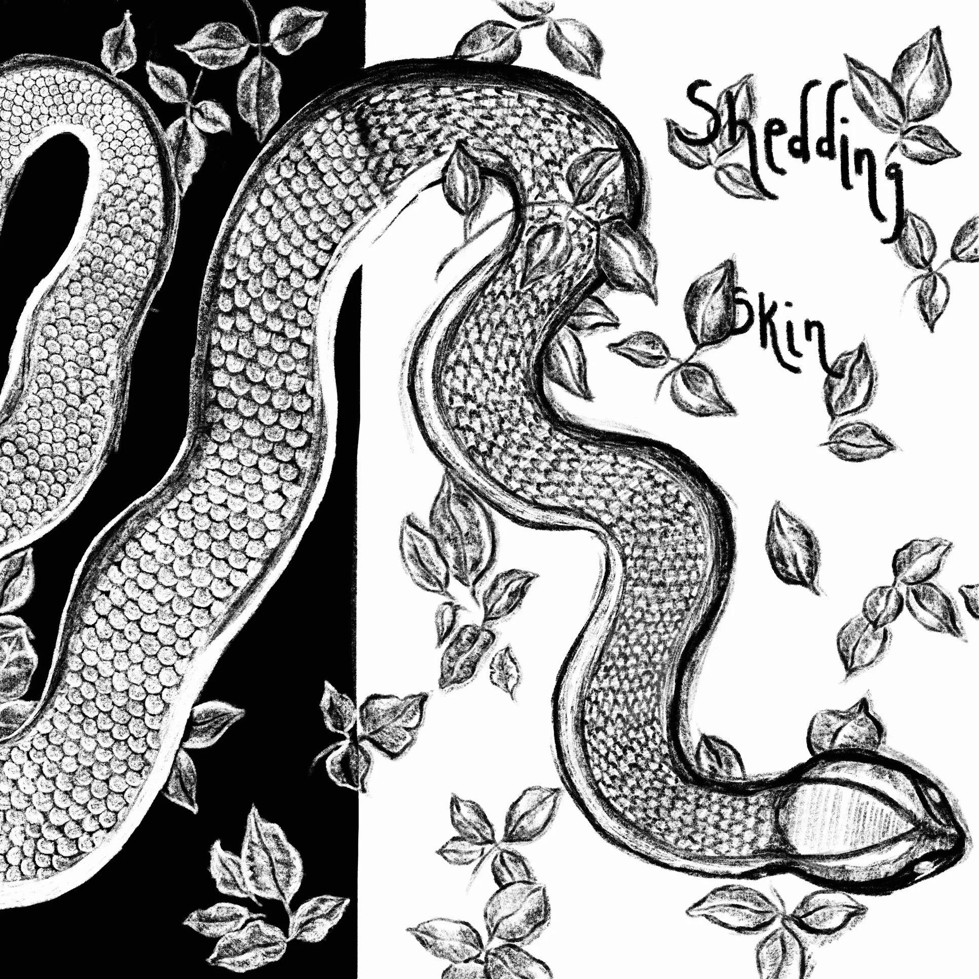 "Shedding skin"