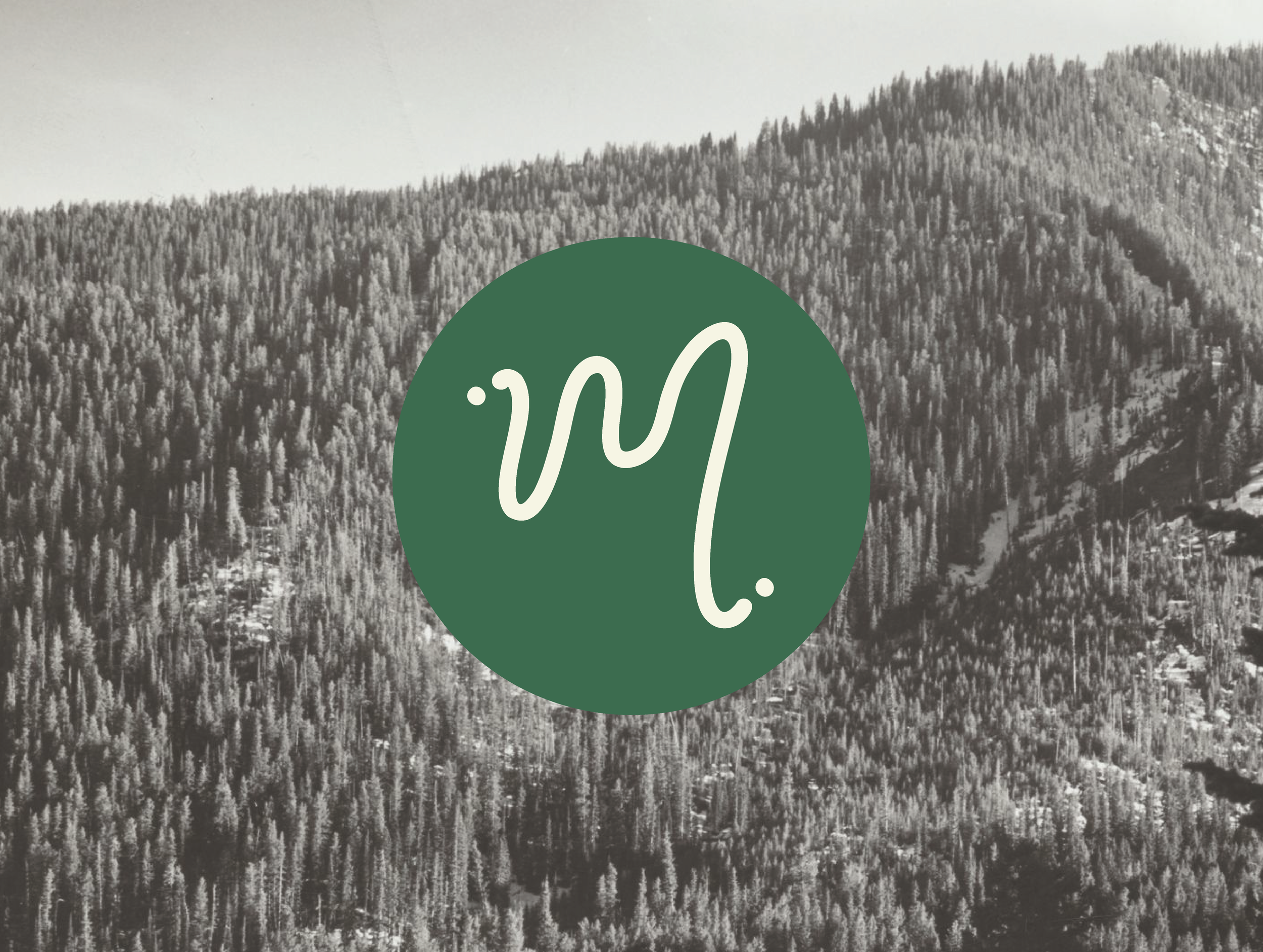 Mitzel Web_Web 8.png