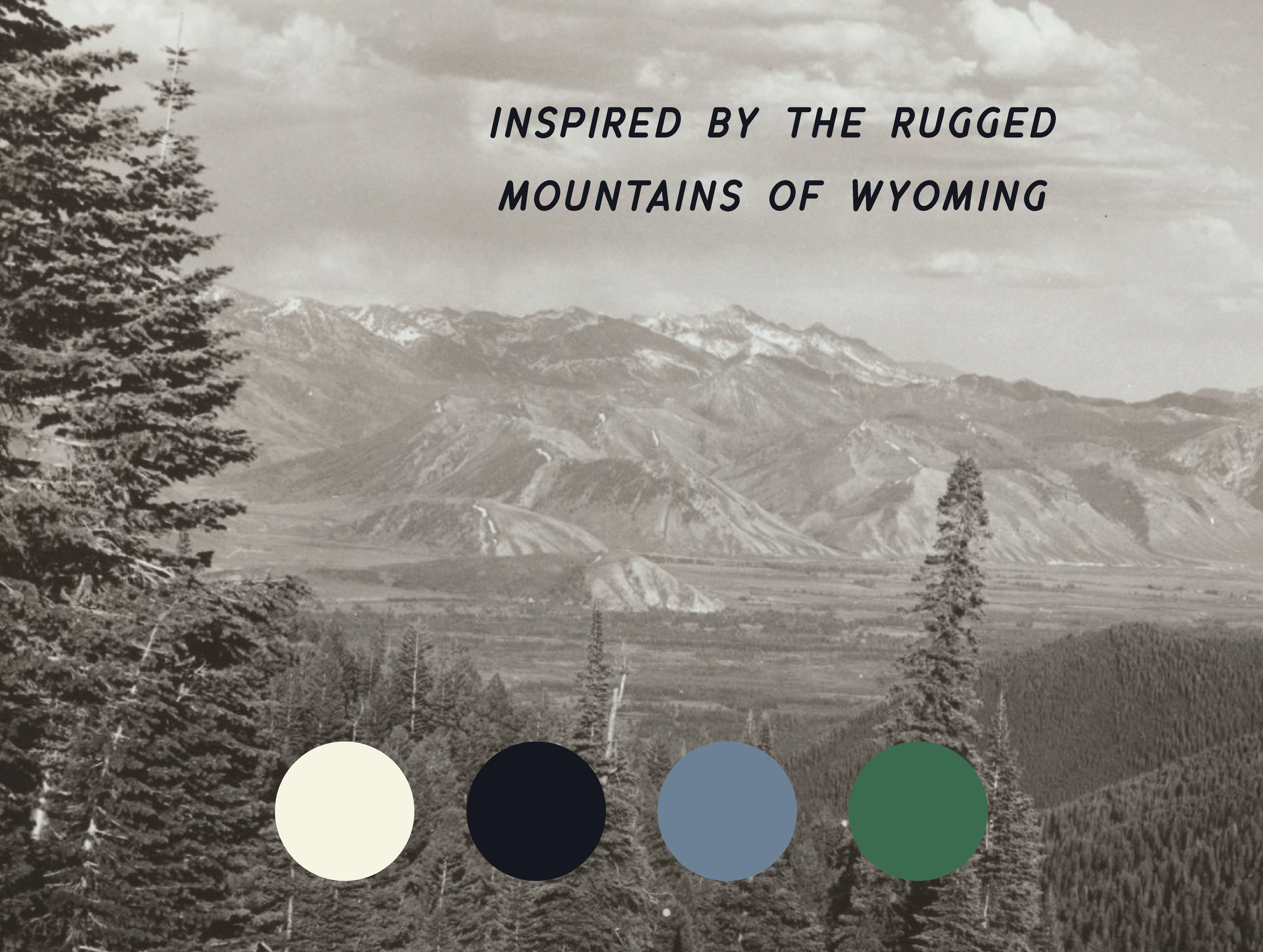 Mitzel Web_Web 11-09.png