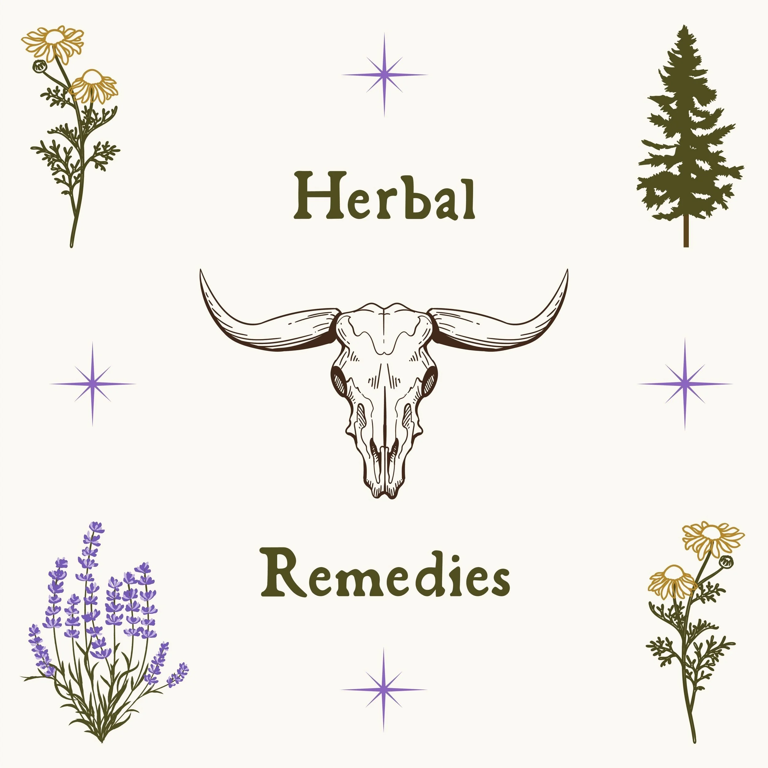 Jojo's New Carousel-04.jpg