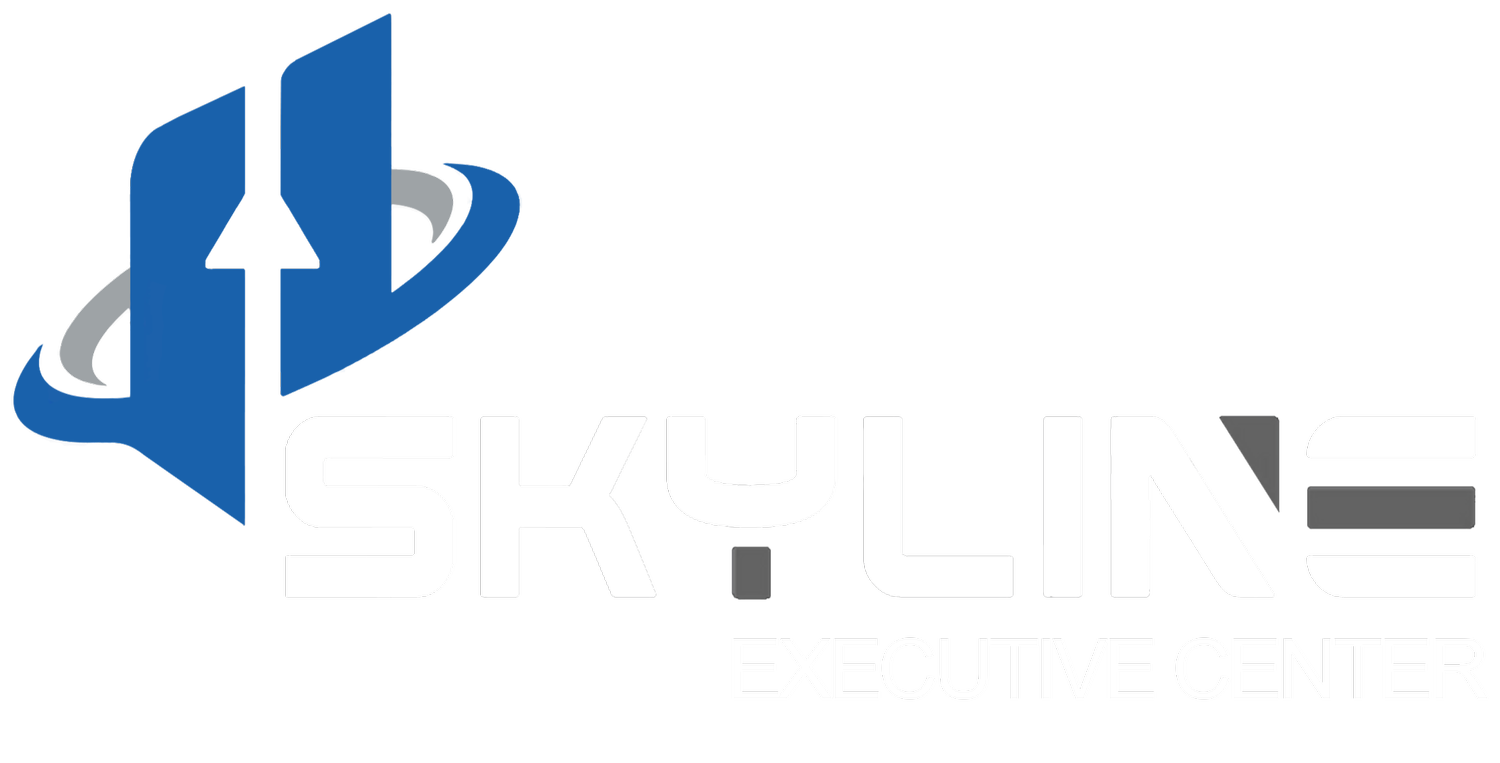 Skyline.ceo