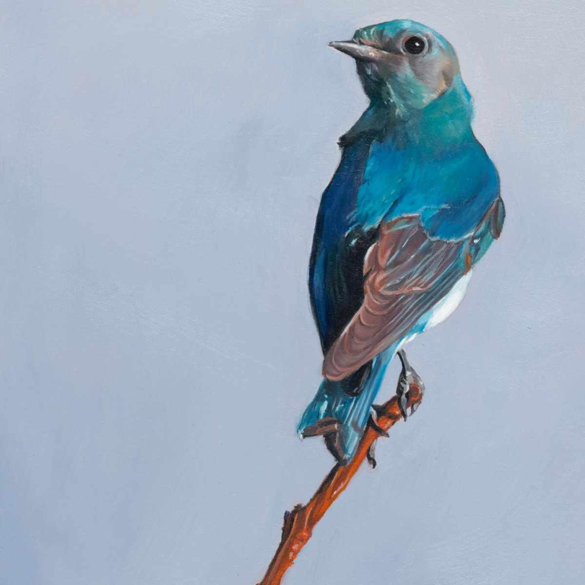 bluebird kind of day-square.jpg