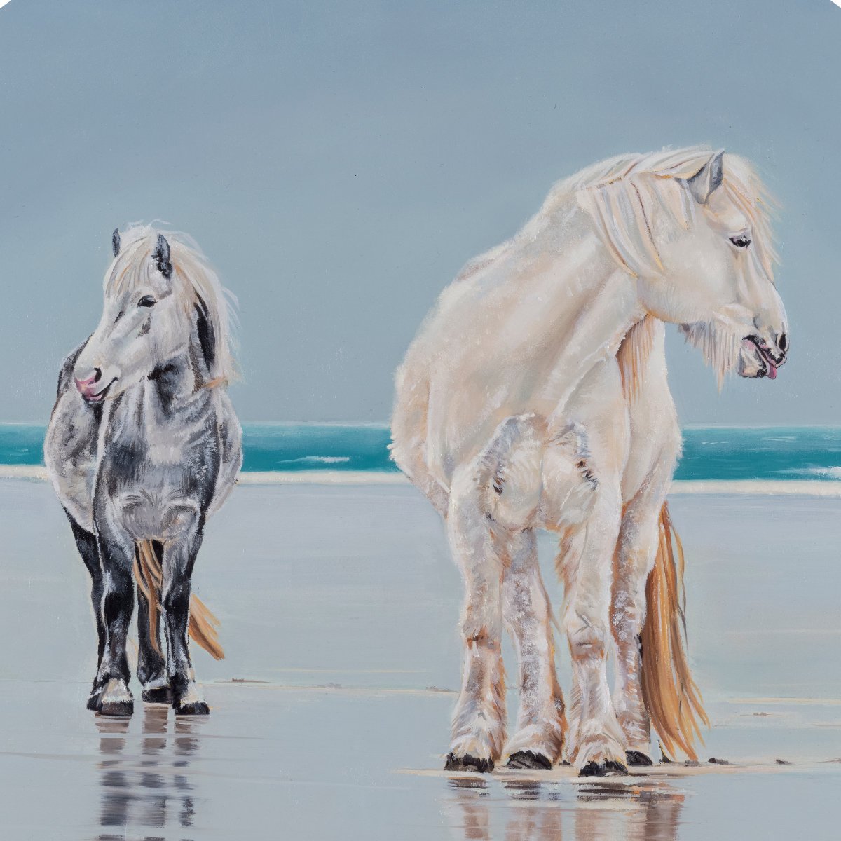 Scottish Ponies-square.jpg