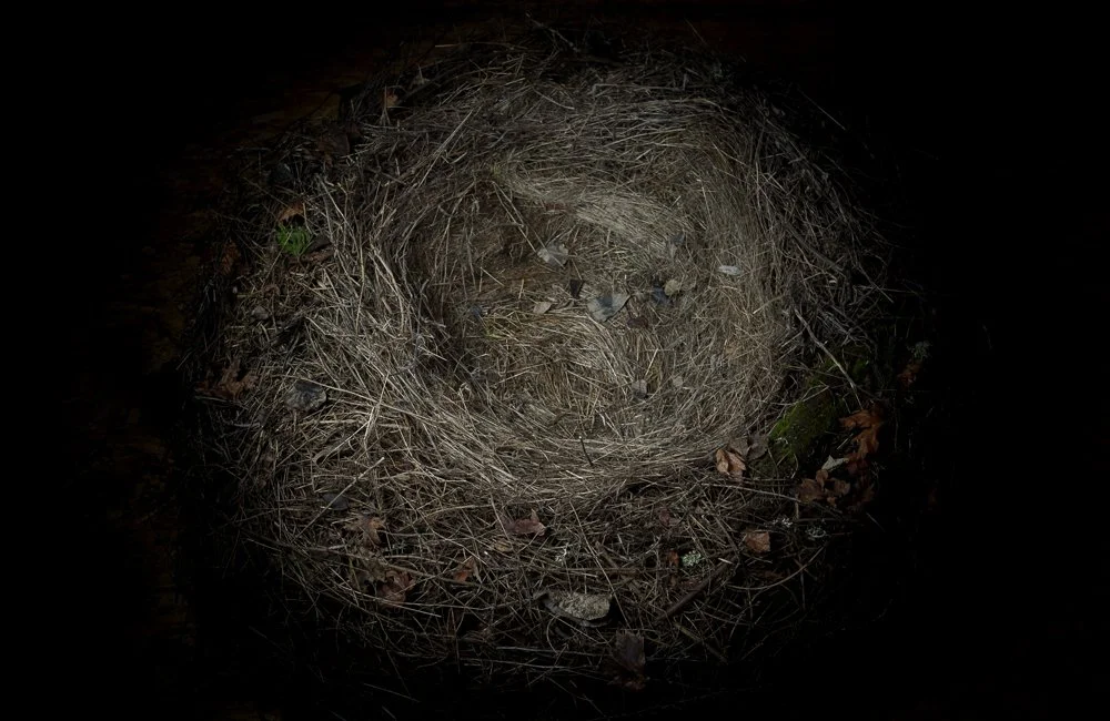 PHOTOGRAPHIC PRINT (Coming Soon)