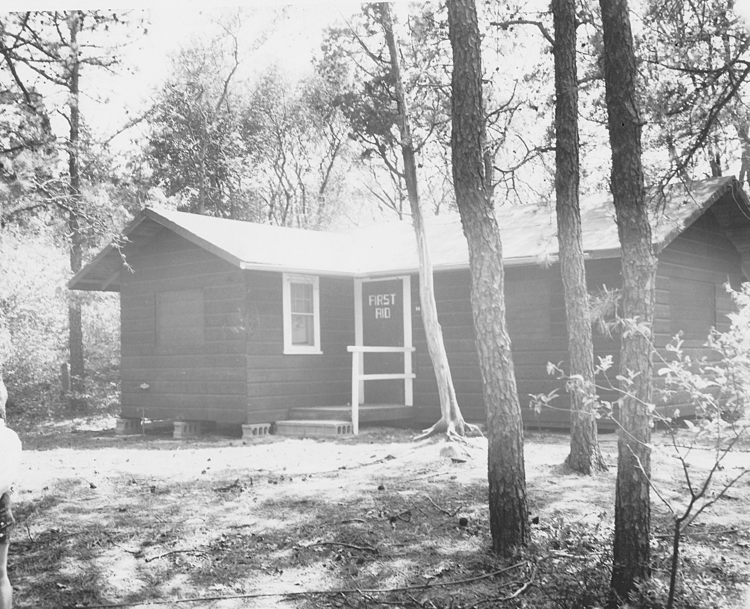 1950s