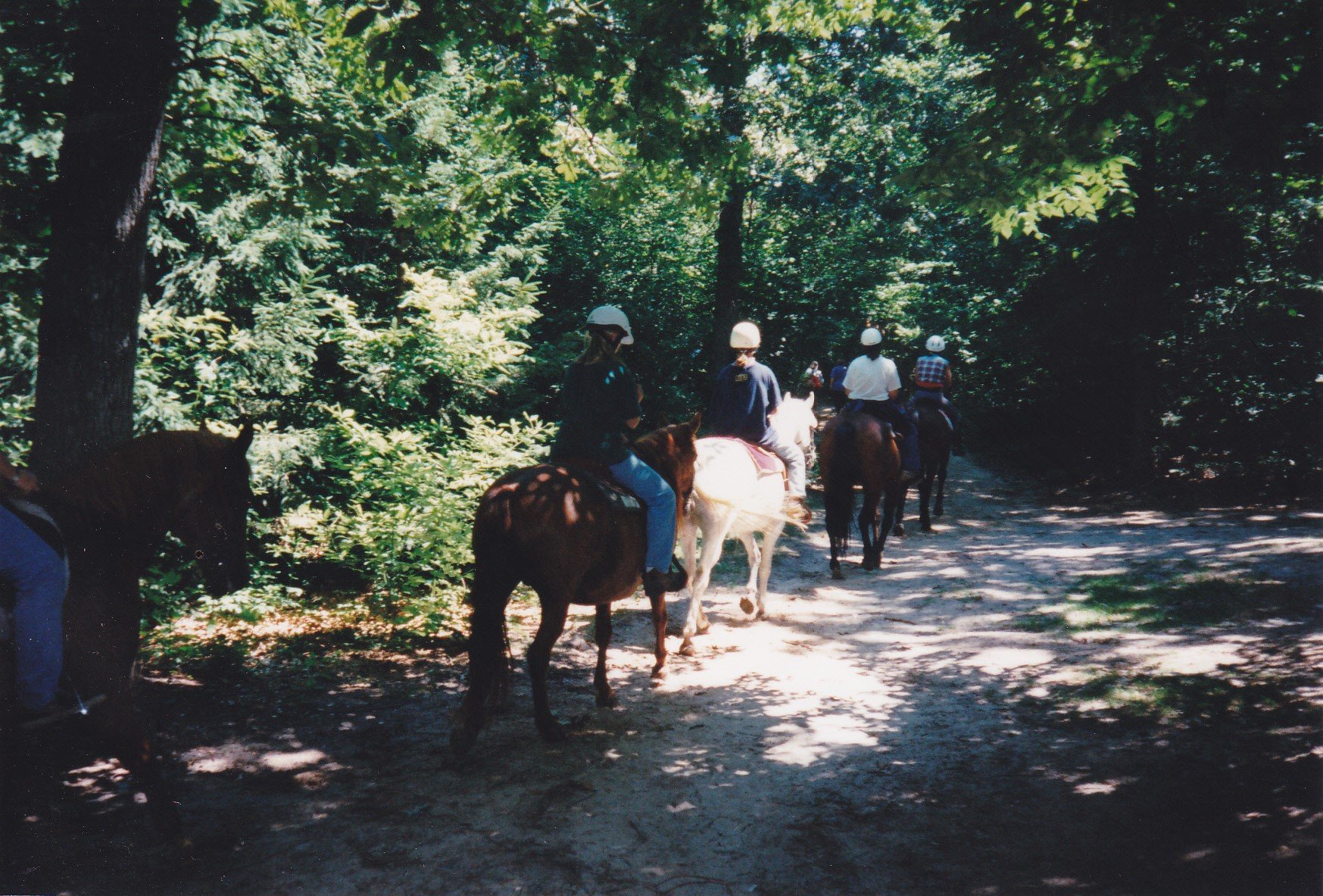 Camp 1990s
