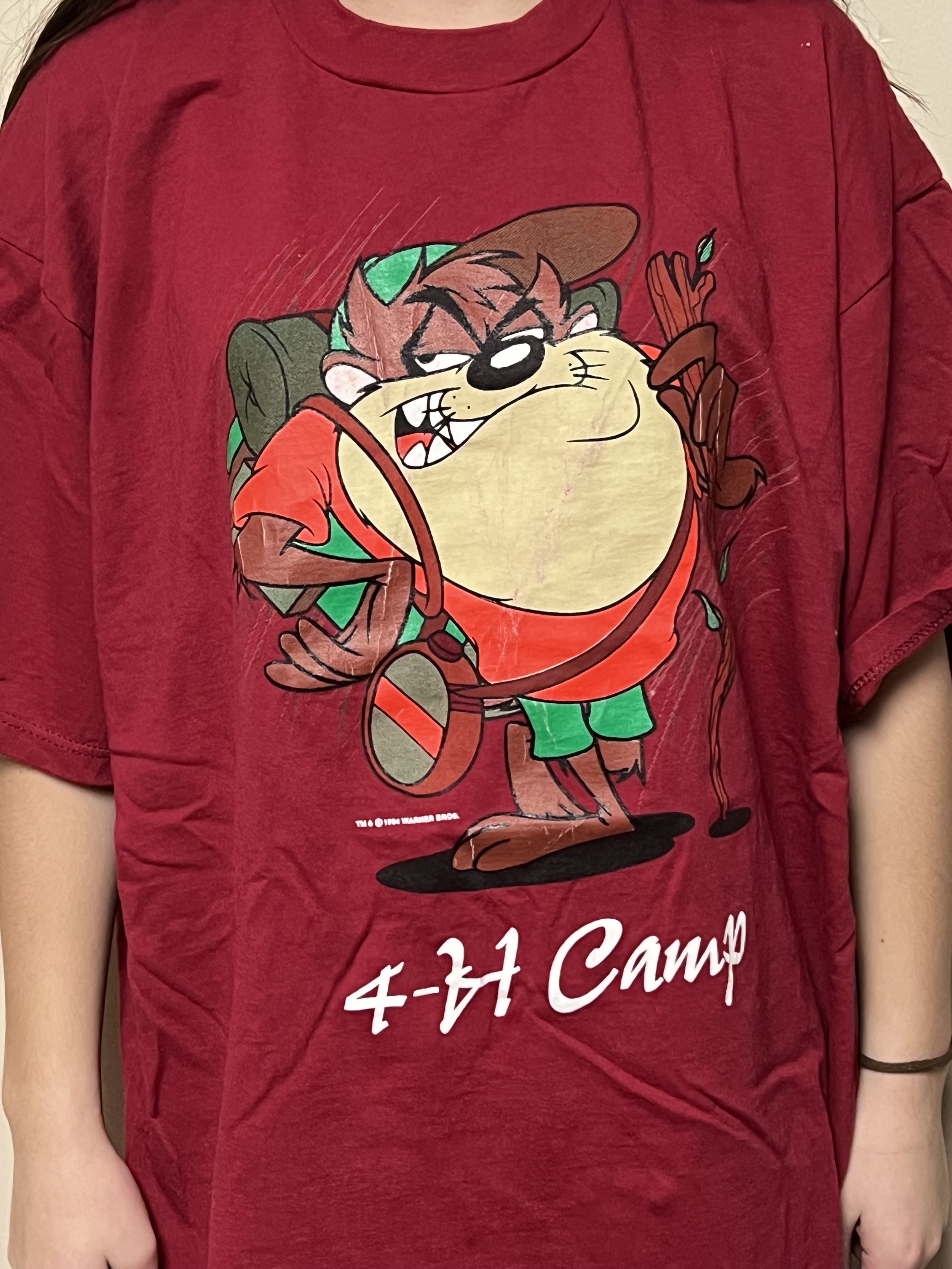 Looney Tunes Tee-Shirt