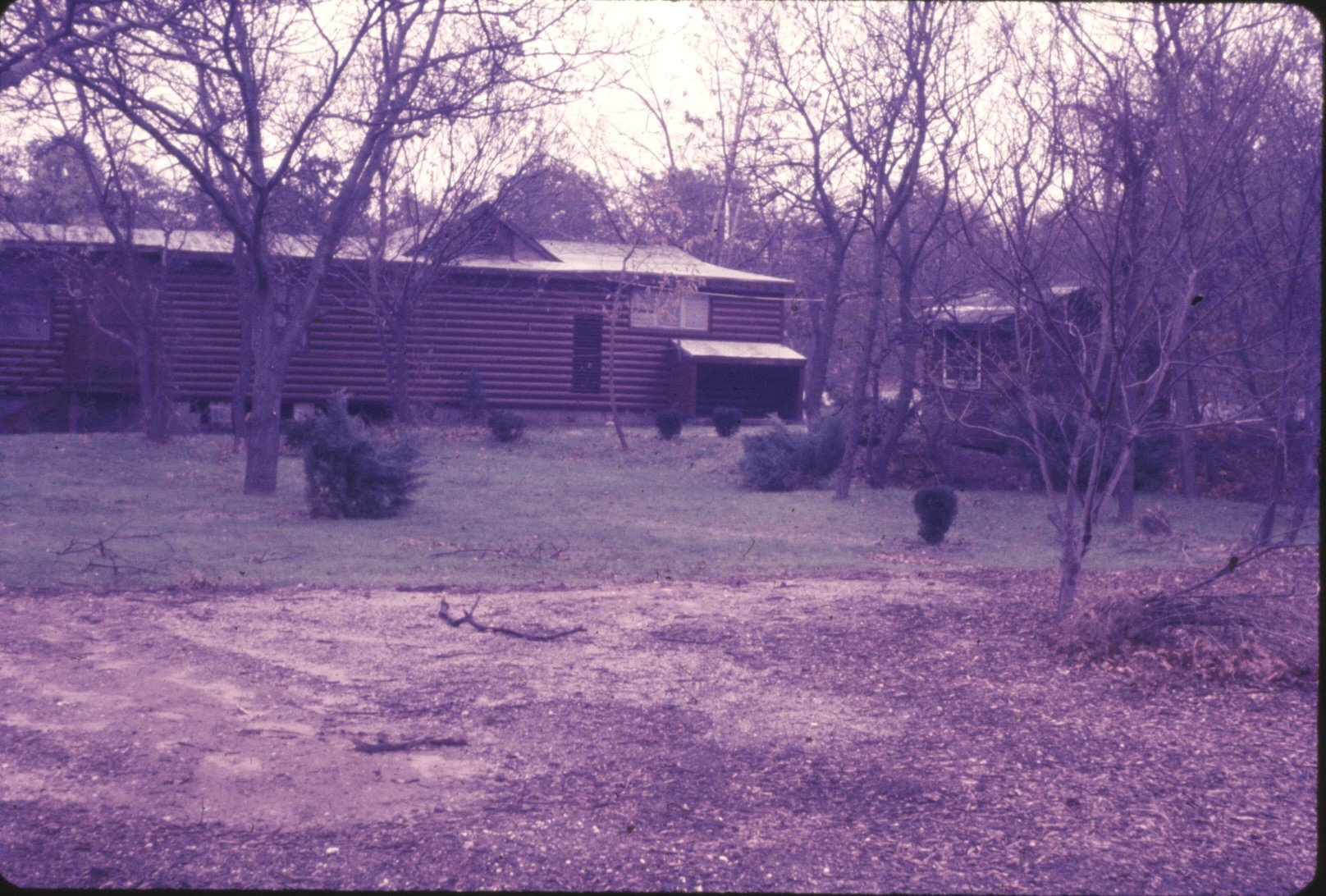 Pine Tree Lodge-1969
