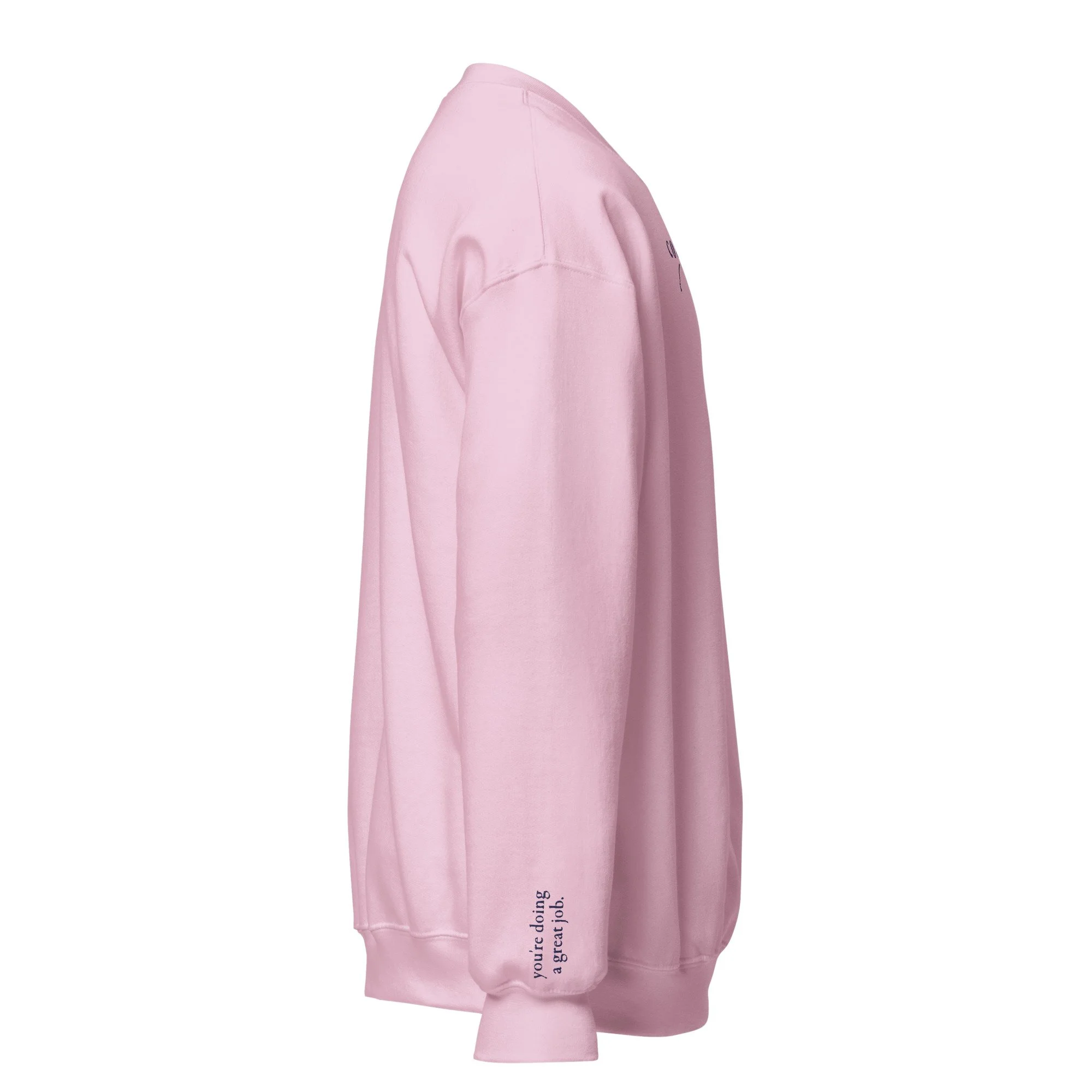 unisex-crew-neck-sweatshirt-light-pink-right-66560d5464a8d.jpg
