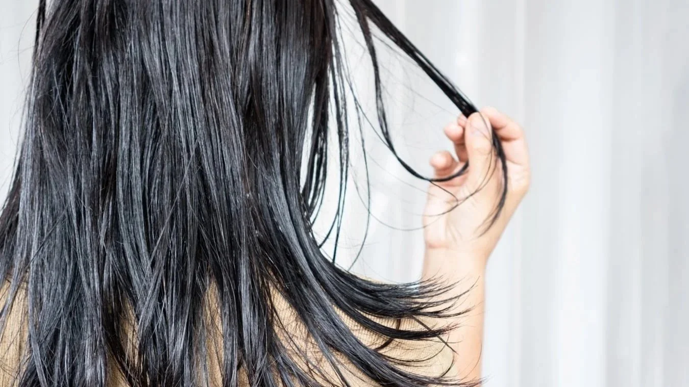 Tired of an Oily Scalp? What Many People Get Wrong About Greasy Hair？