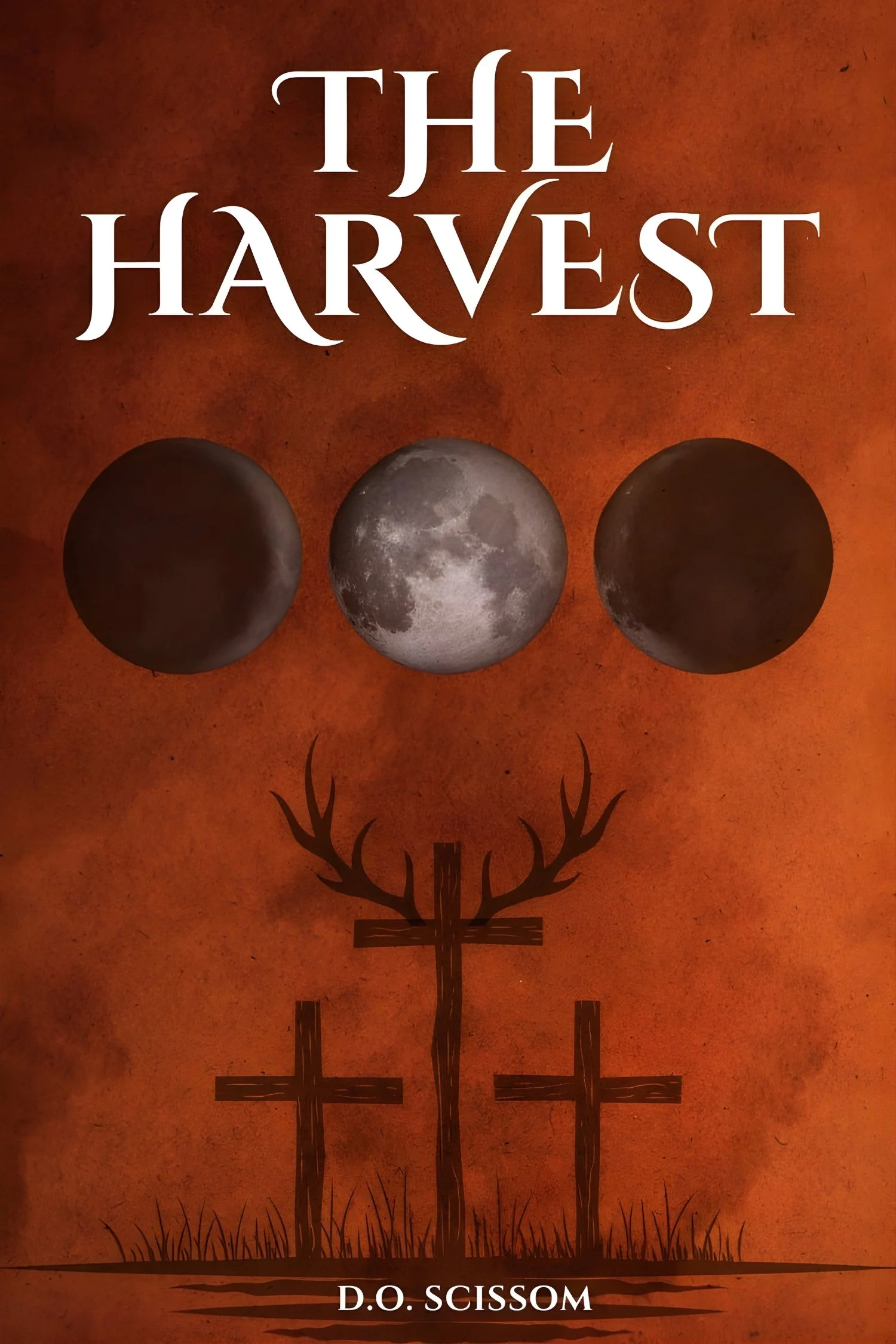 The Mercer Witches Book I and II