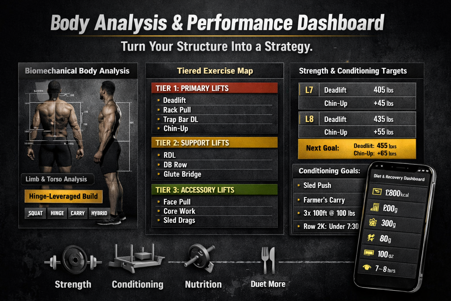 Body analysis pic.png