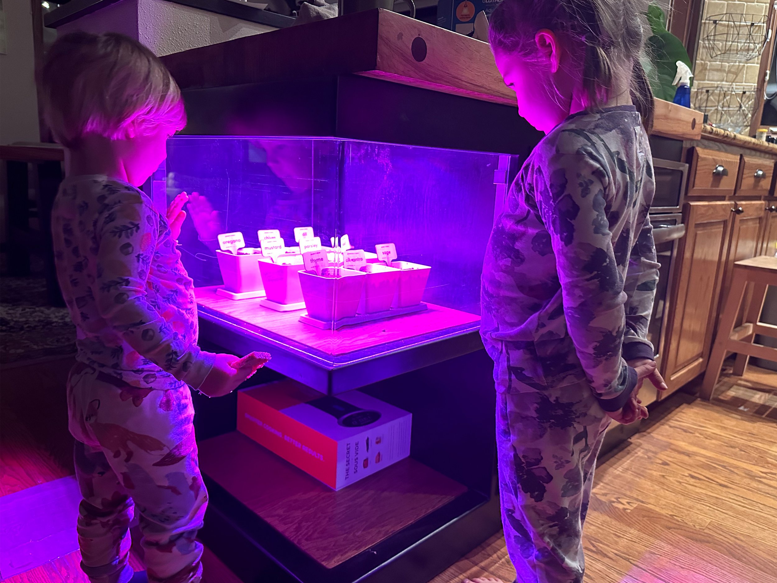kids-growlamp.jpg