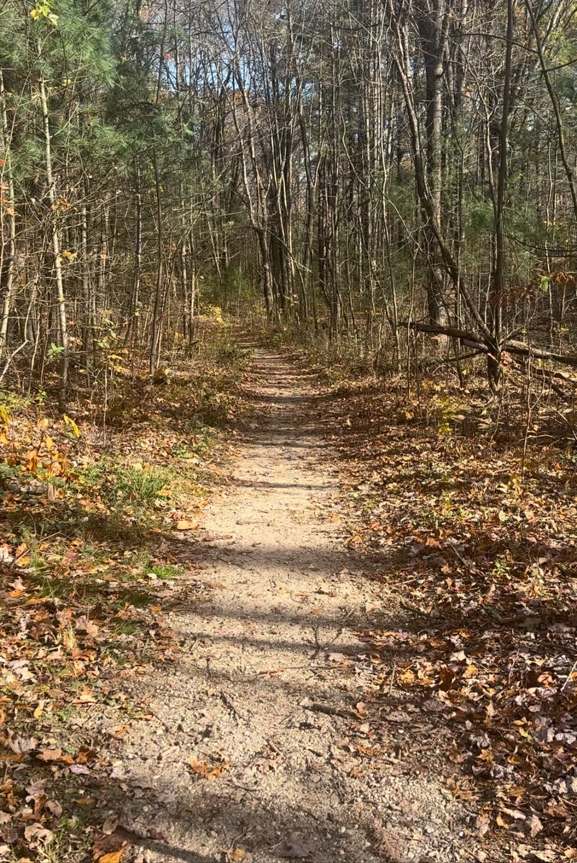 Nature Walk