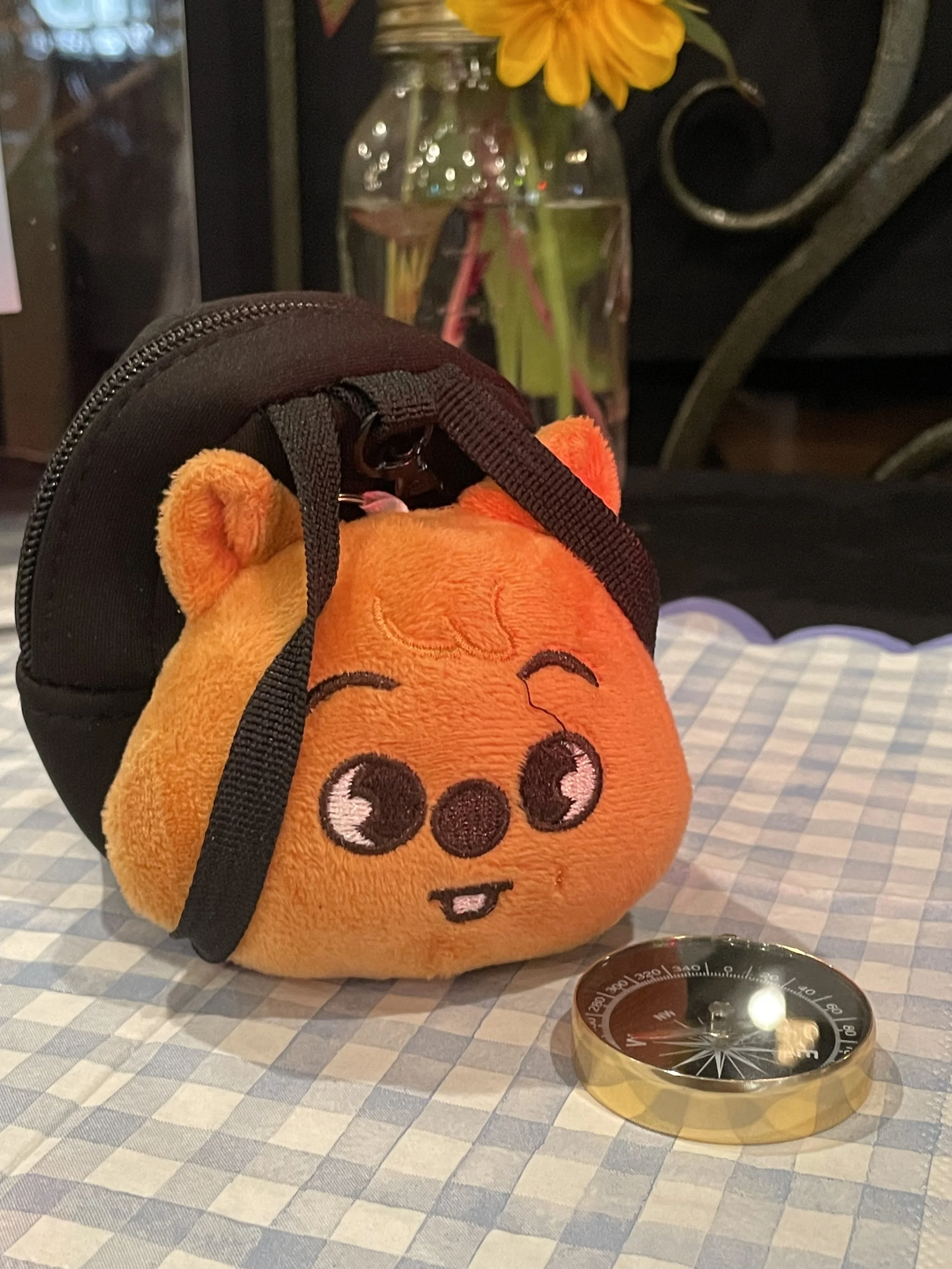 IMG_6363.jpeg