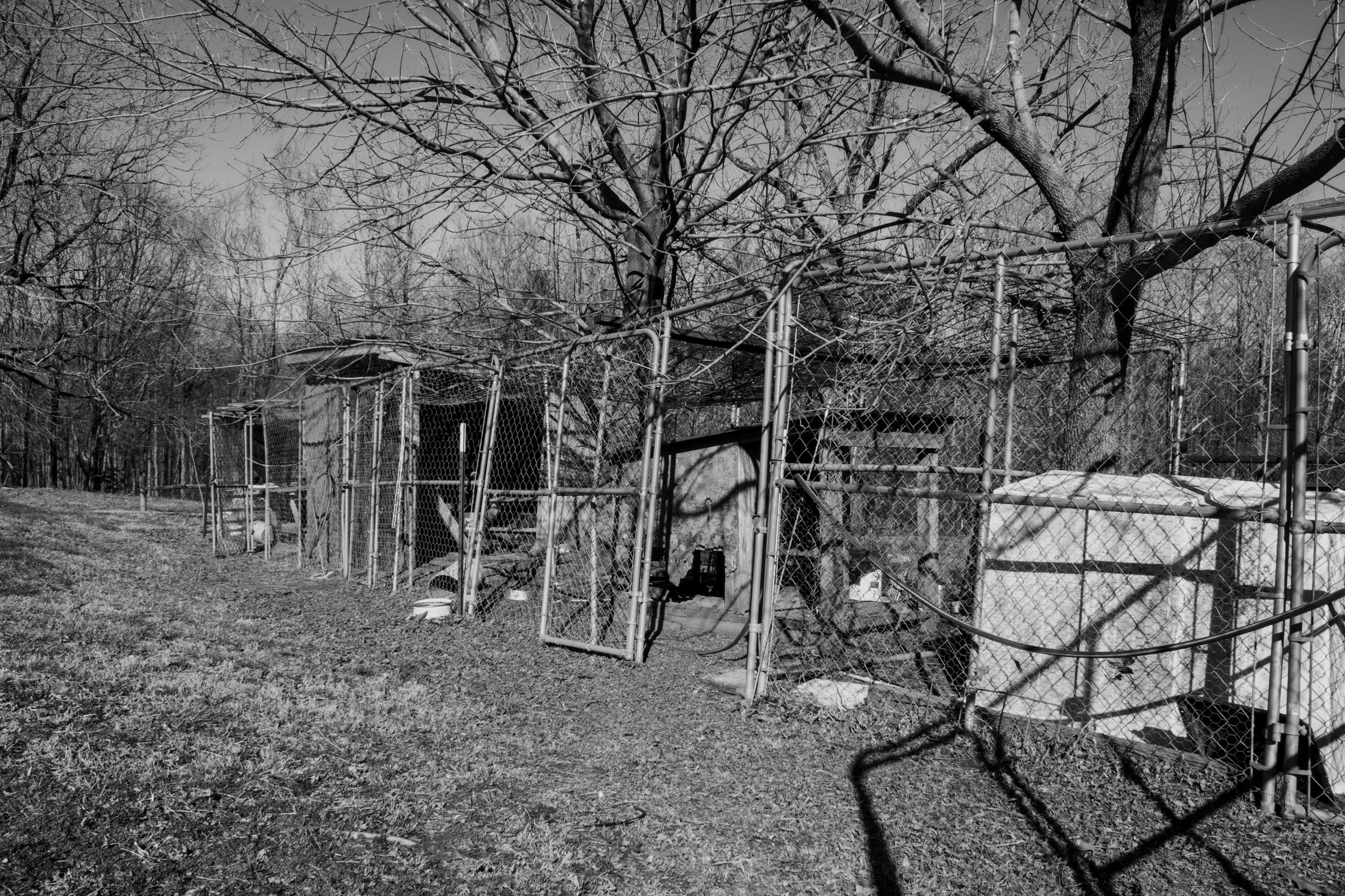 IMG_5453-ChickenCoop-B&W.jpg