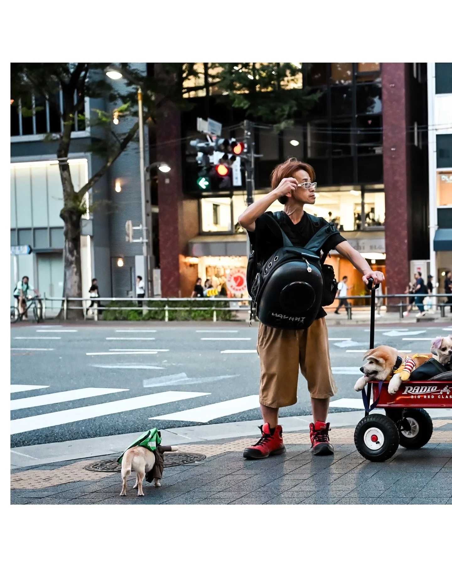 ➡️➡️➡️

Took this photo in Tokyo. We were trying to figure out exactly what this guy was doing with the dogs. Still not sure! Looks like we weren&rsquo;t the only ones who were interested.

Anyone have the answer? 

#instadogs #tokyo #japan #travelph