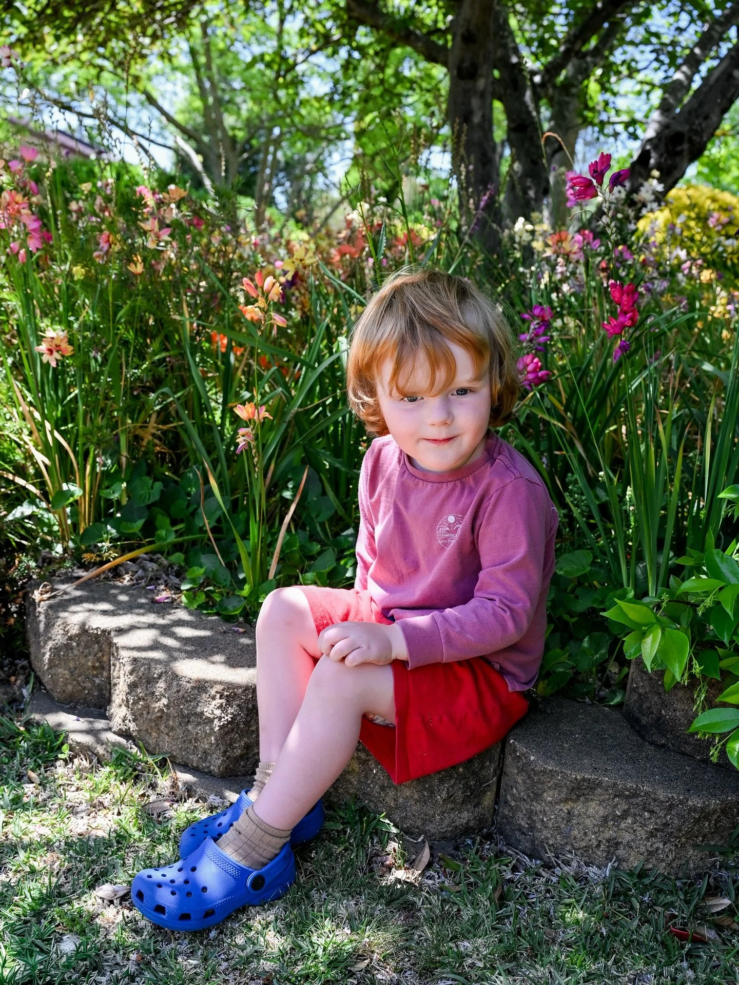 Yes, it&rsquo;s that time of year where I don&rsquo;t know what day it is&hellip;.and I&rsquo;m thinking I need to start getting my brain working and focused on something other than house work! 

Reflecting on last year and looking through images pro