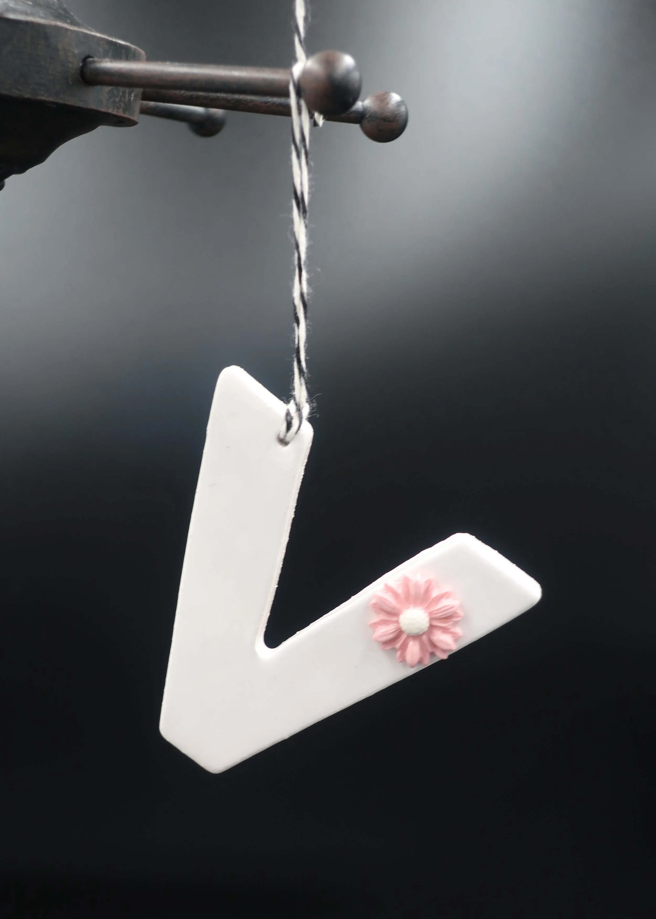 JPEG image-F81D73BEC23F-13.jpeg