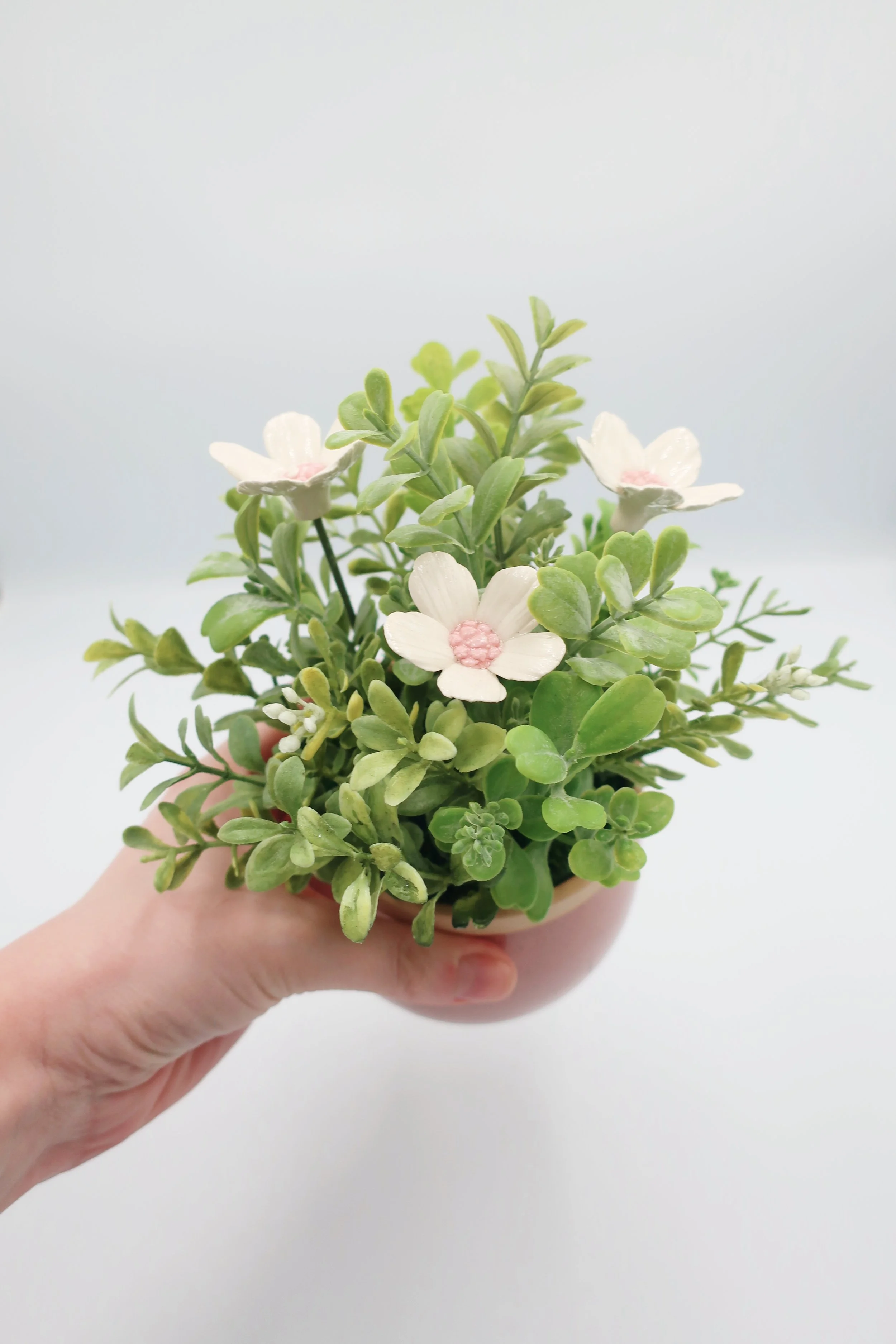 JPEG image-02AF4A3110A2-7.jpeg