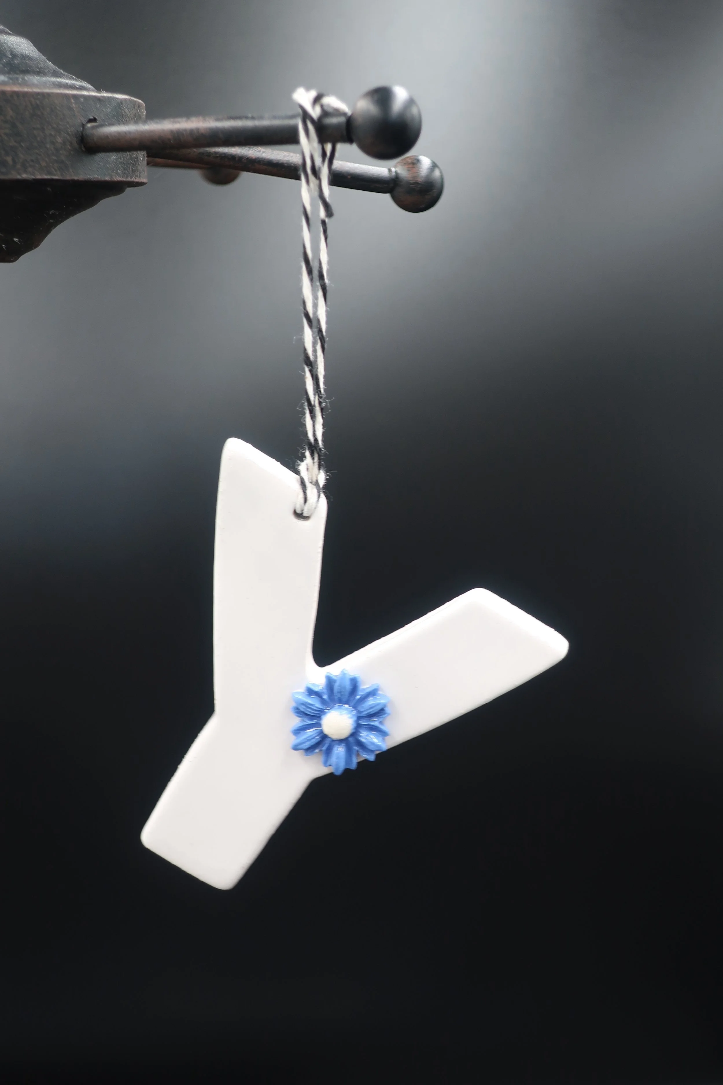 JPEG image-F81D73BEC23F-16.jpeg