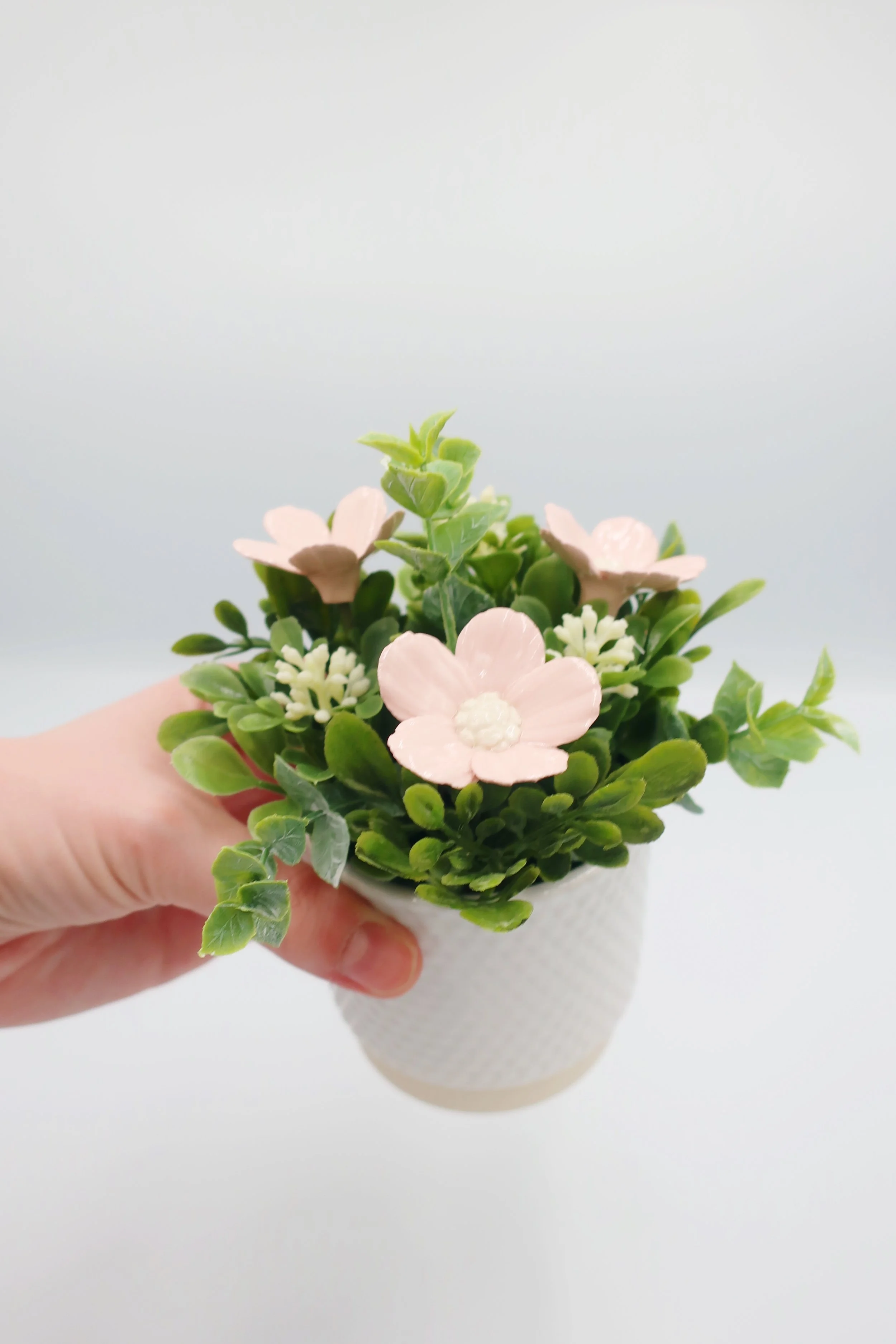 JPEG image-77C384B7F687-8.jpeg