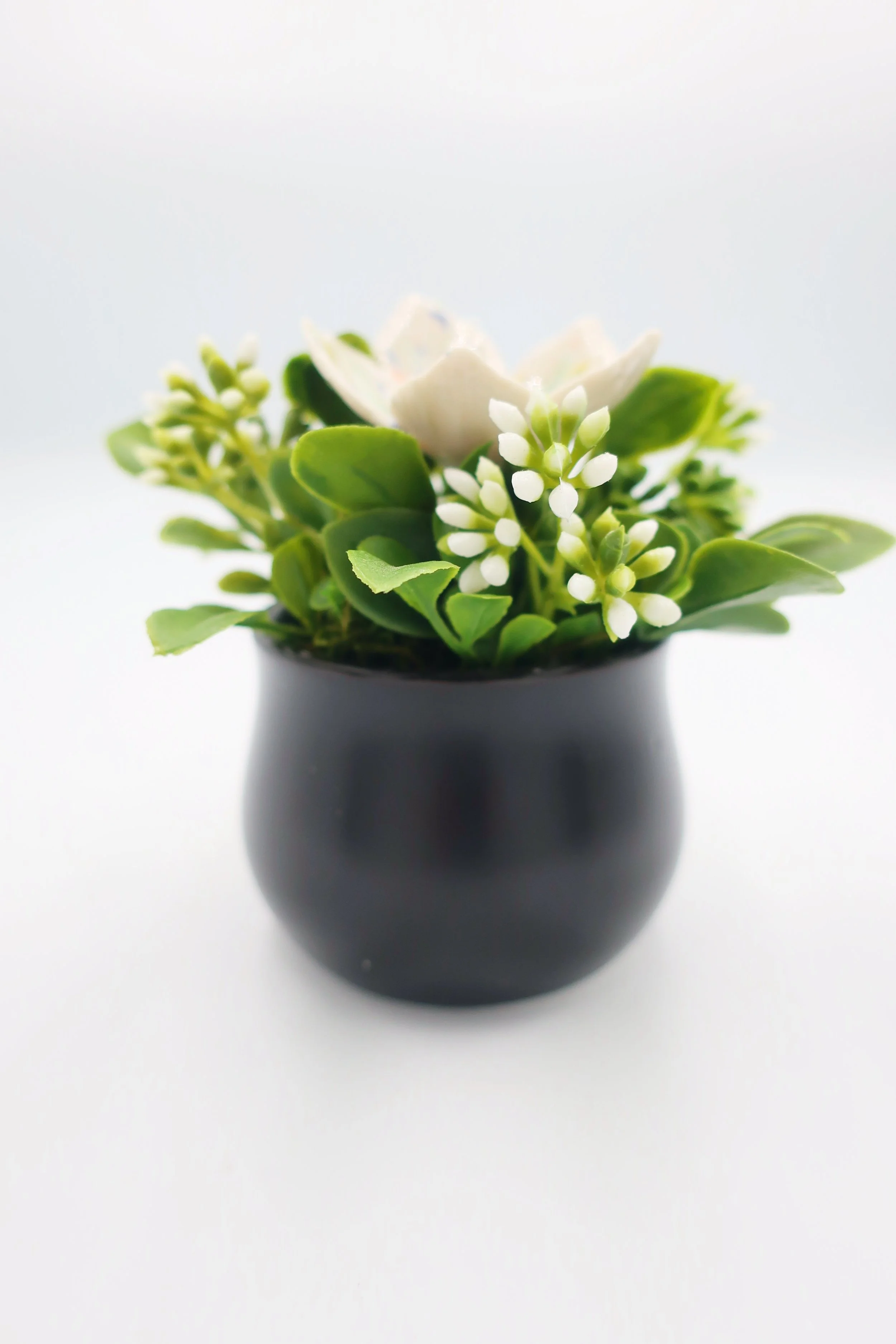 JPEG image-03FF205E0D0F-8.jpeg