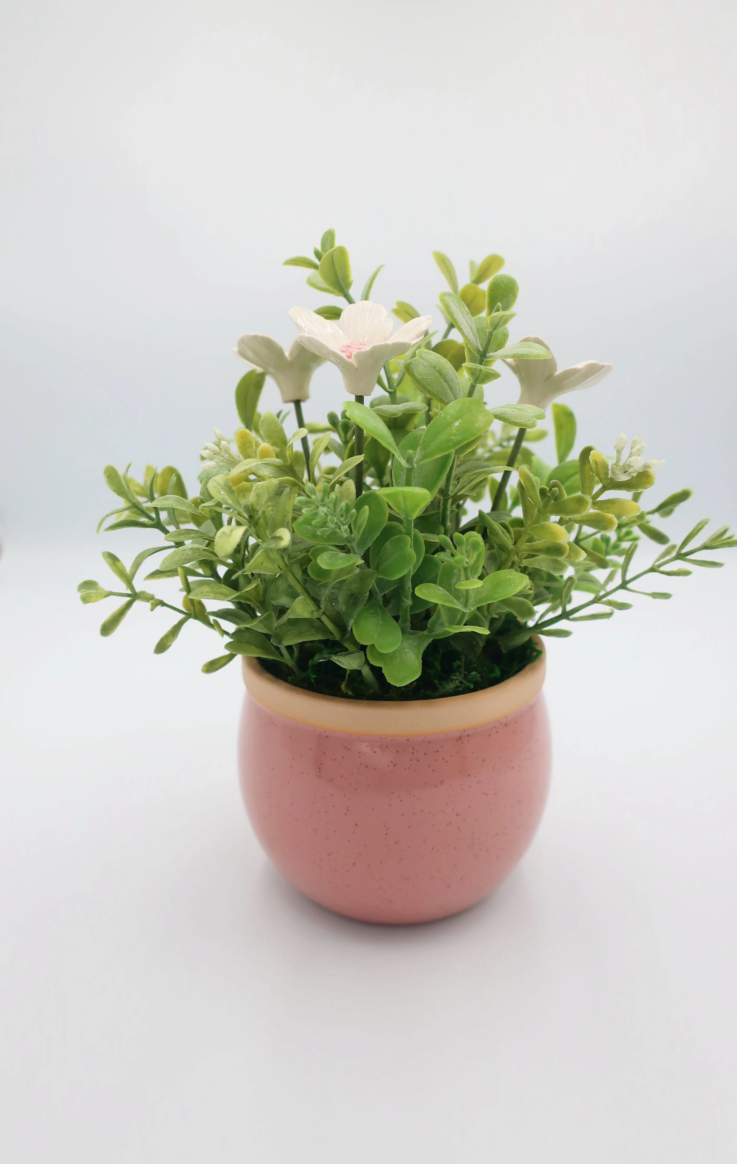 JPEG image-5719A92A8D68-3.jpeg