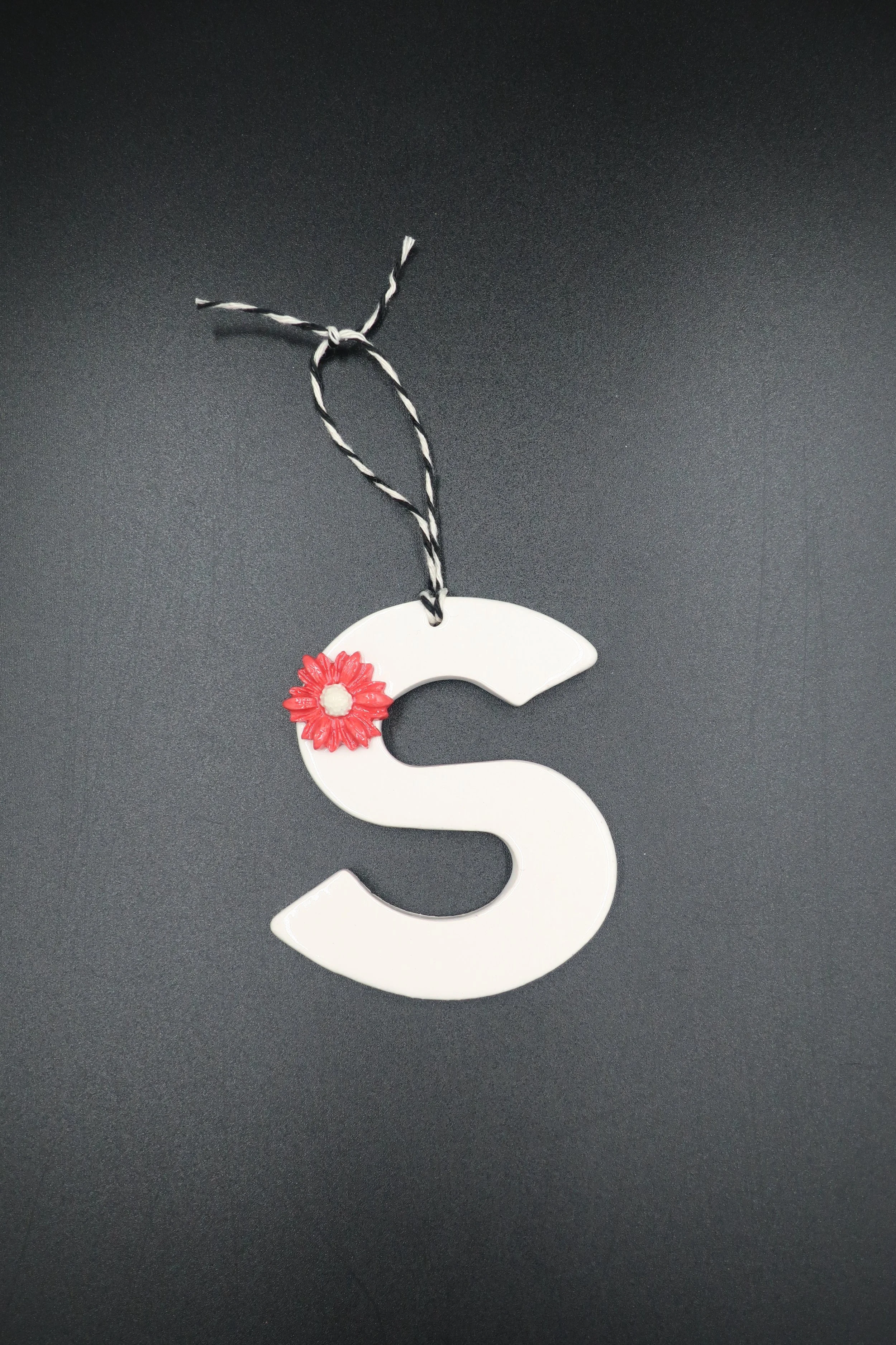 Hanging Letter S