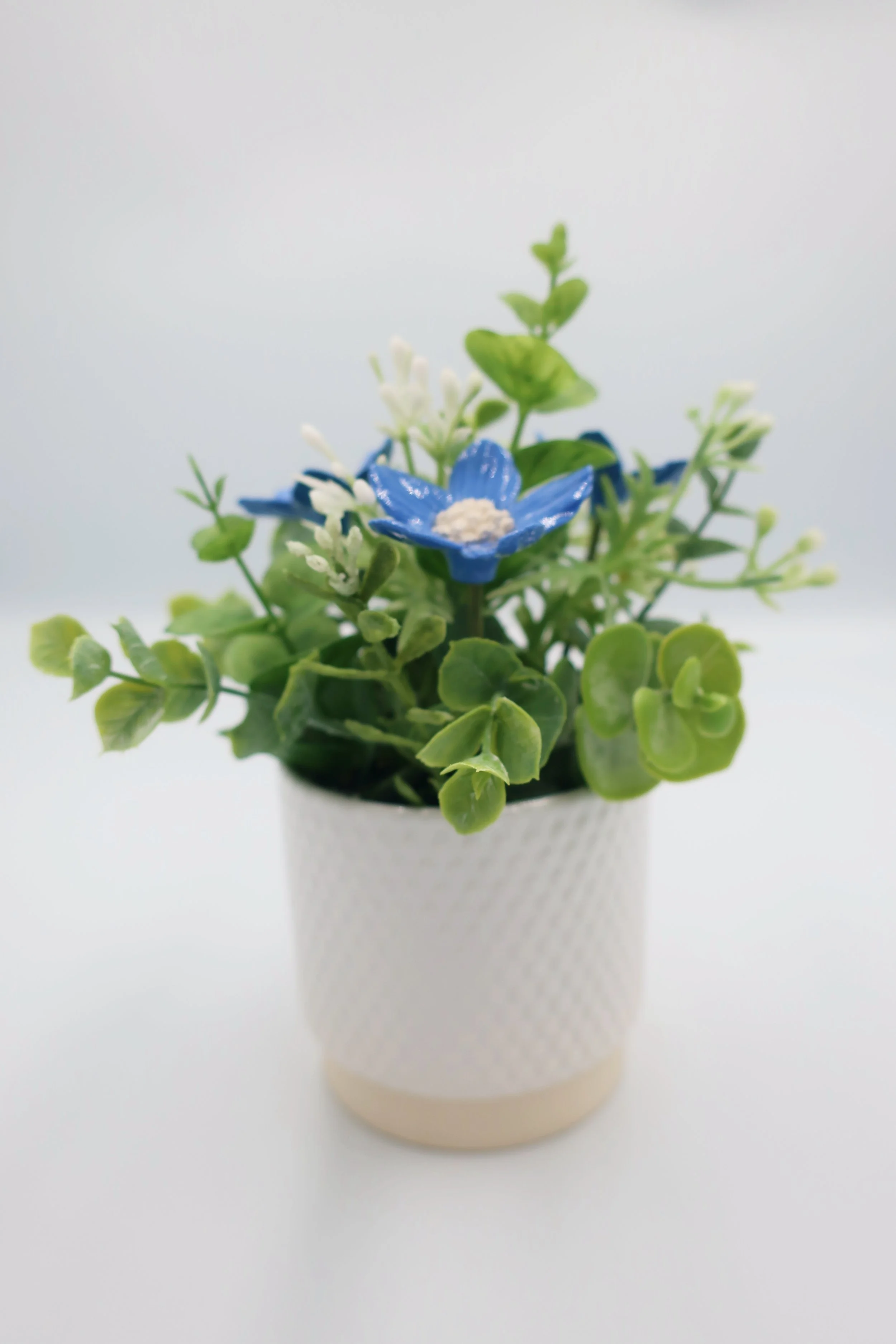 JPEG image-D3F48835D9C9-13.jpeg