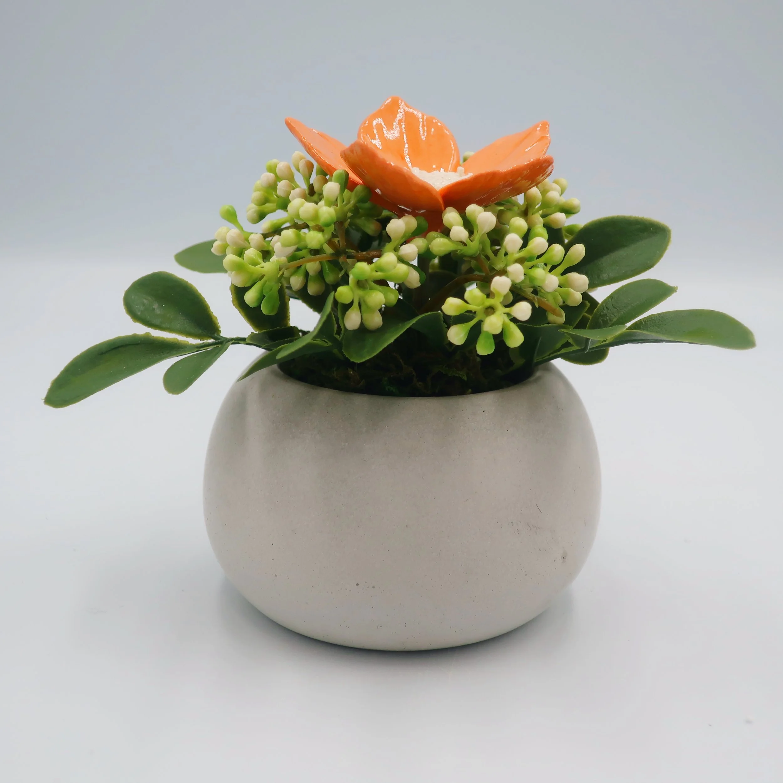 JPEG image-21F3633B93A3-6.jpeg