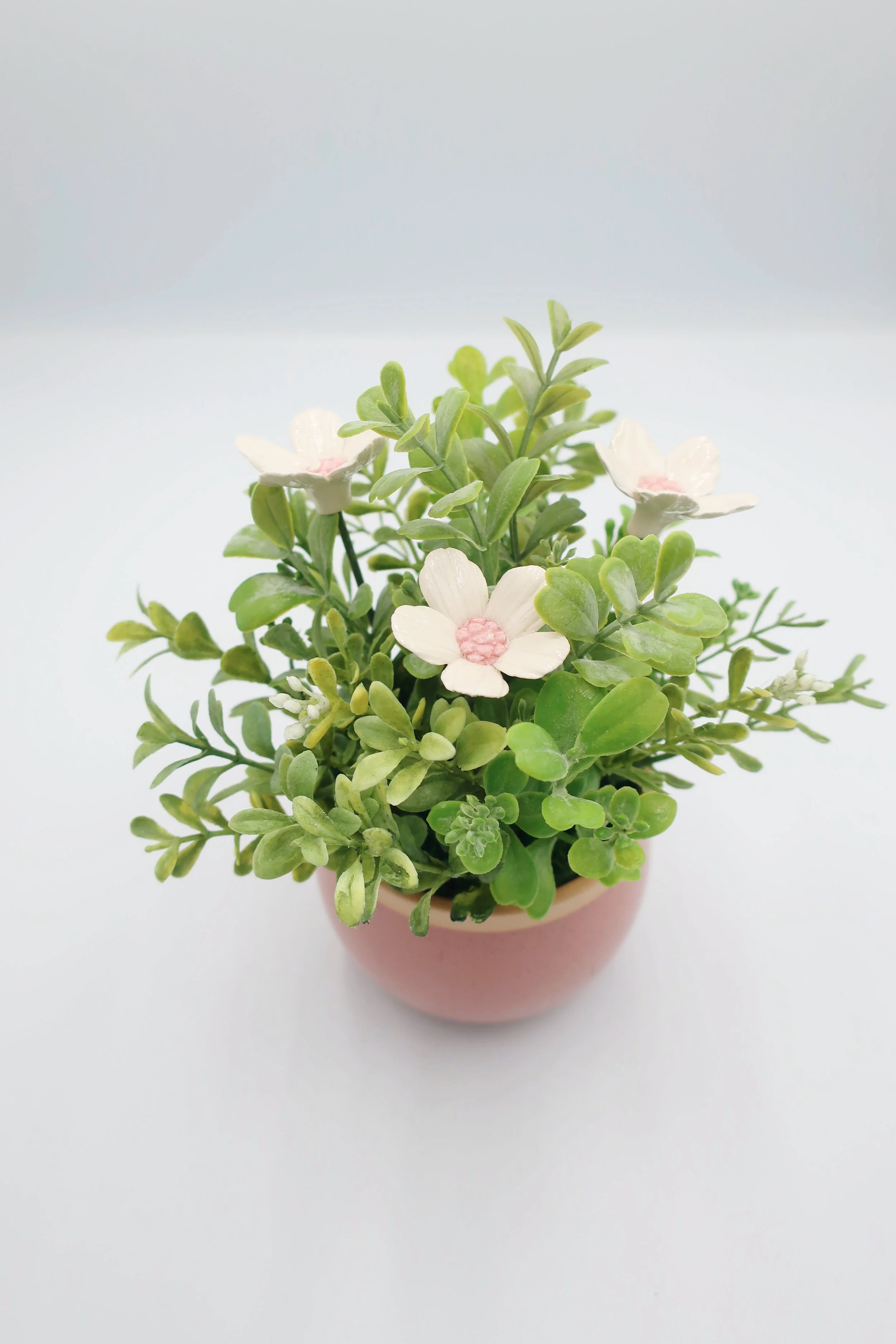 JPEG image-CF8EC2DE1165-1.jpeg