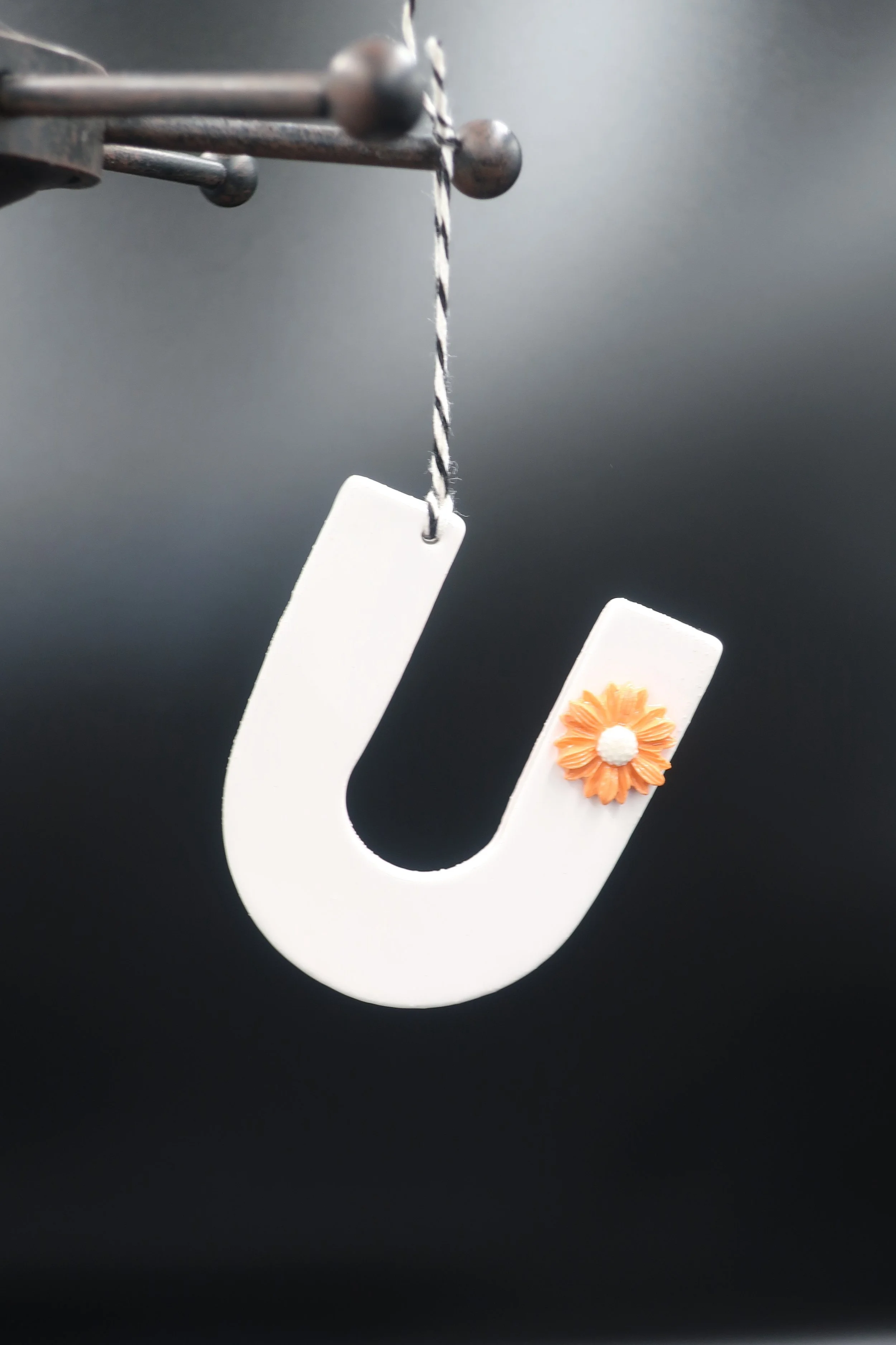 JPEG image-F81D73BEC23F-15.jpeg