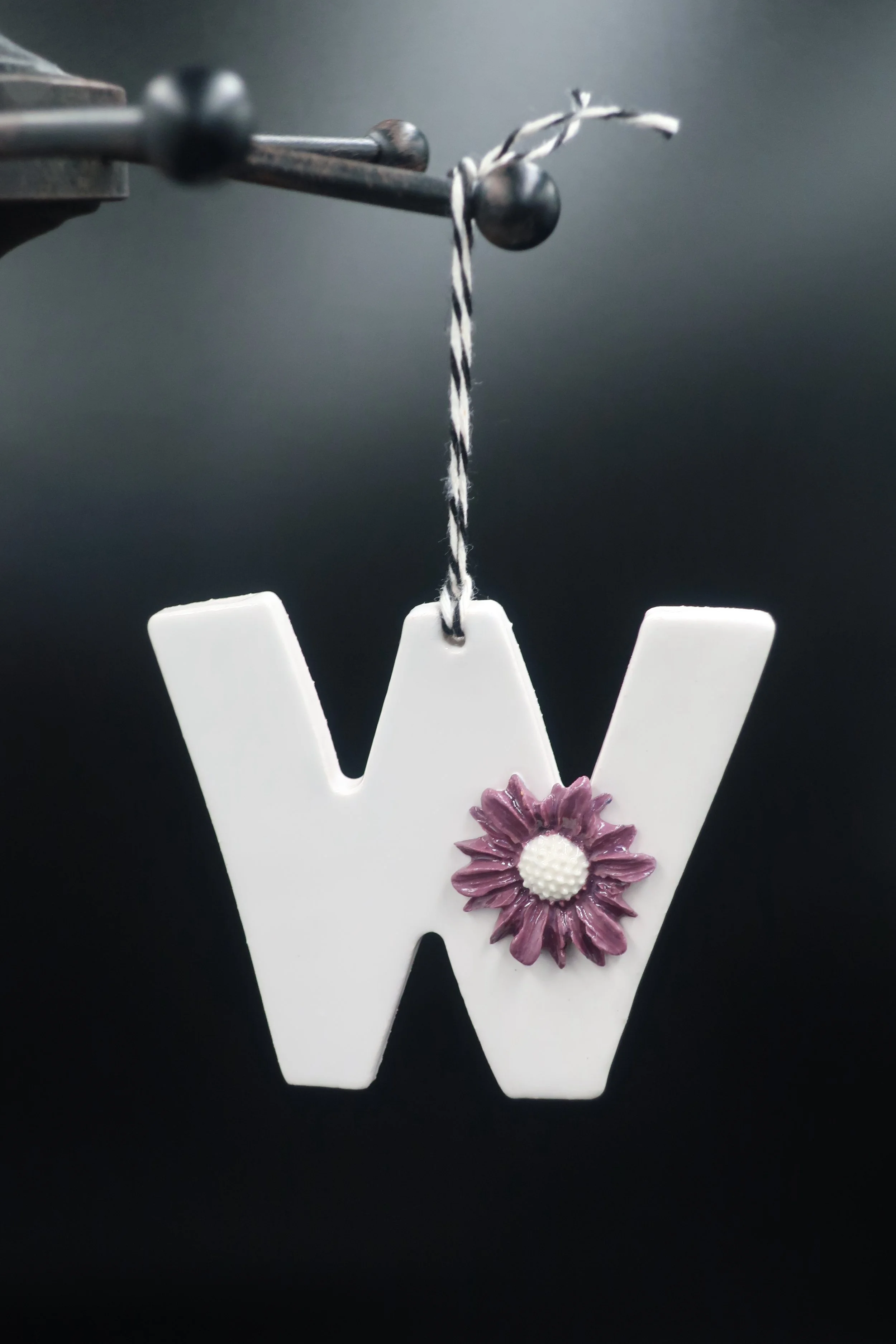 JPEG image-98DAA81B823E-1.jpeg