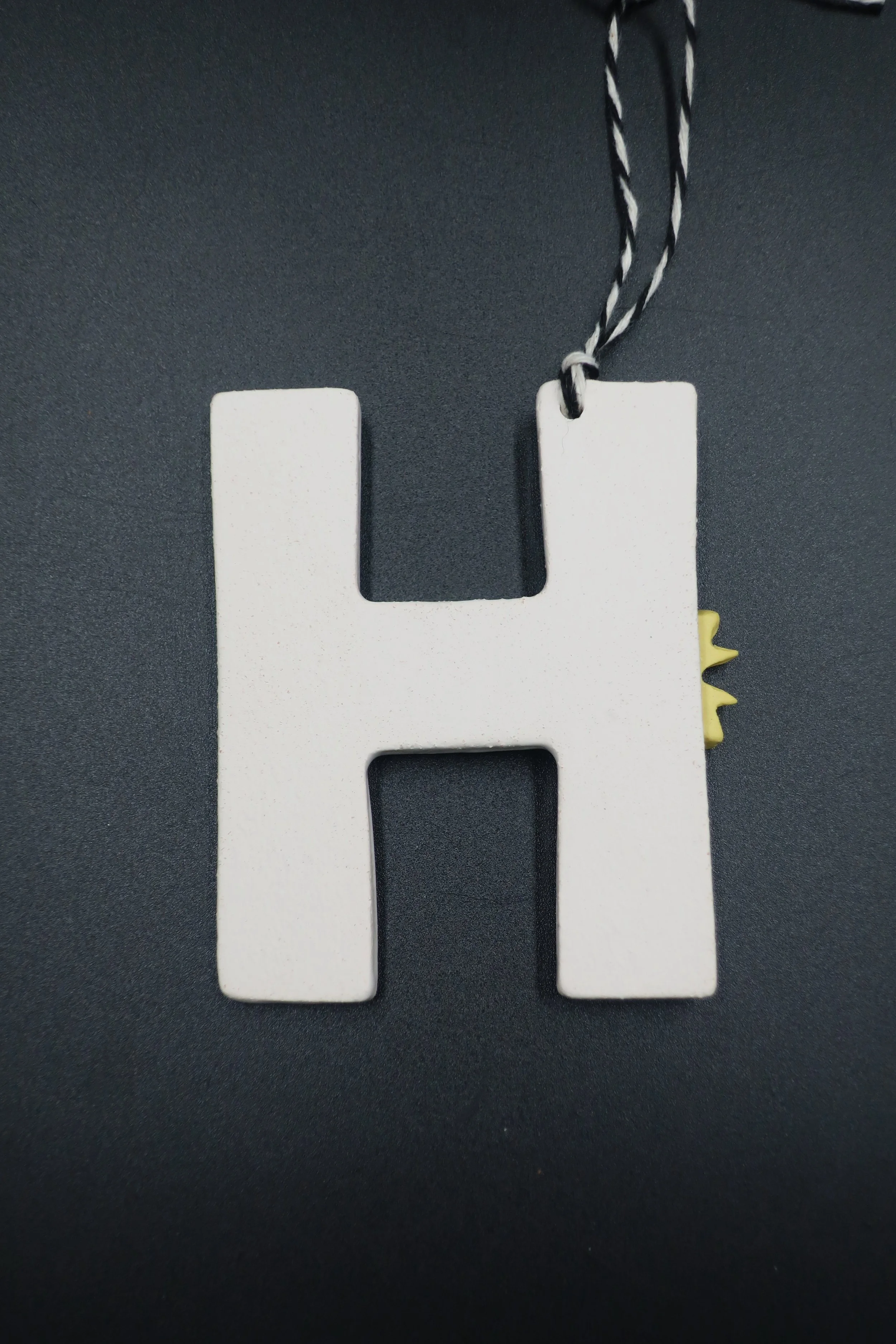 JPEG image-ACE92506E9AB-5.jpeg