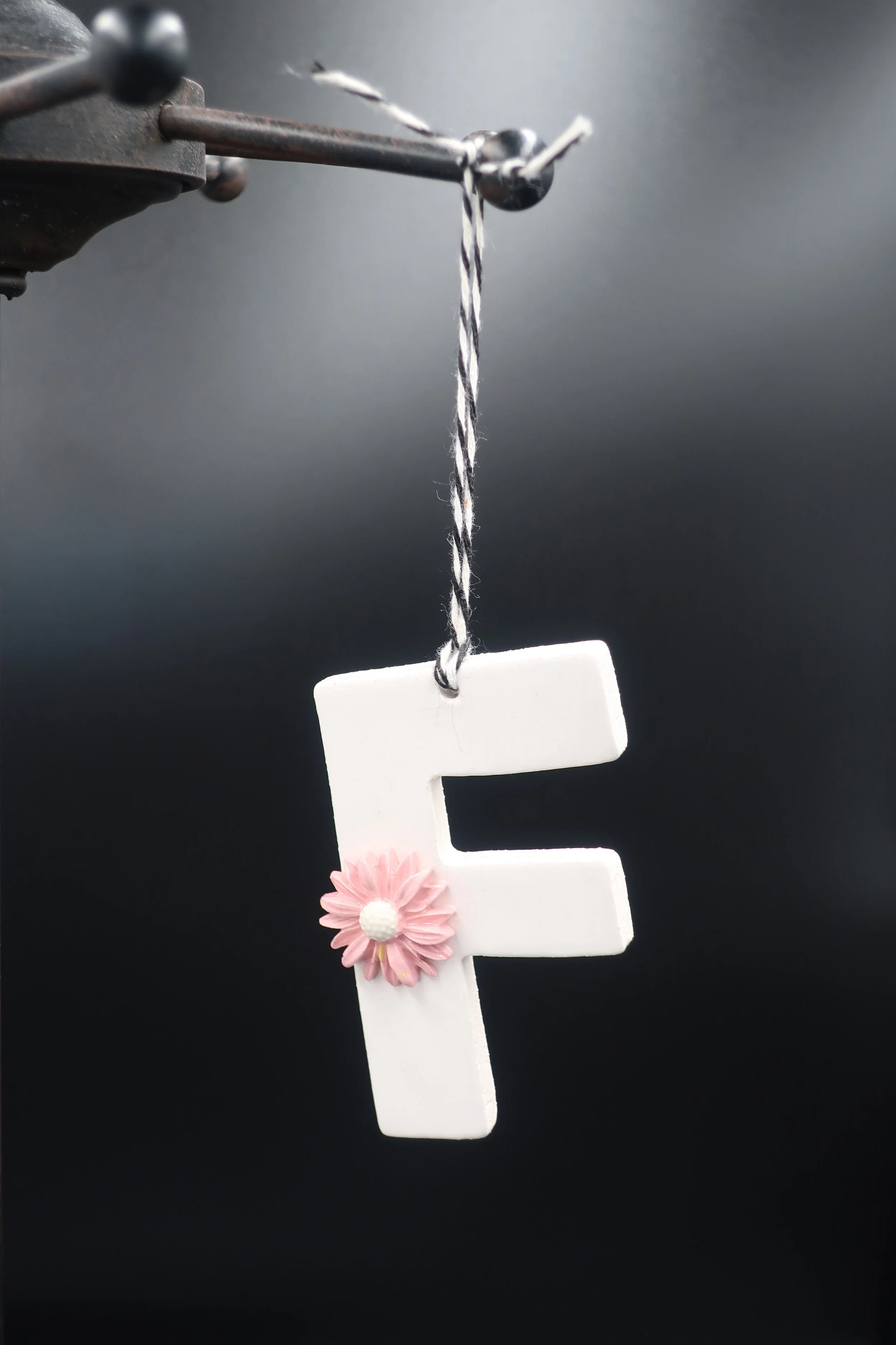 JPEG image-1E168FCF6423-2.jpeg