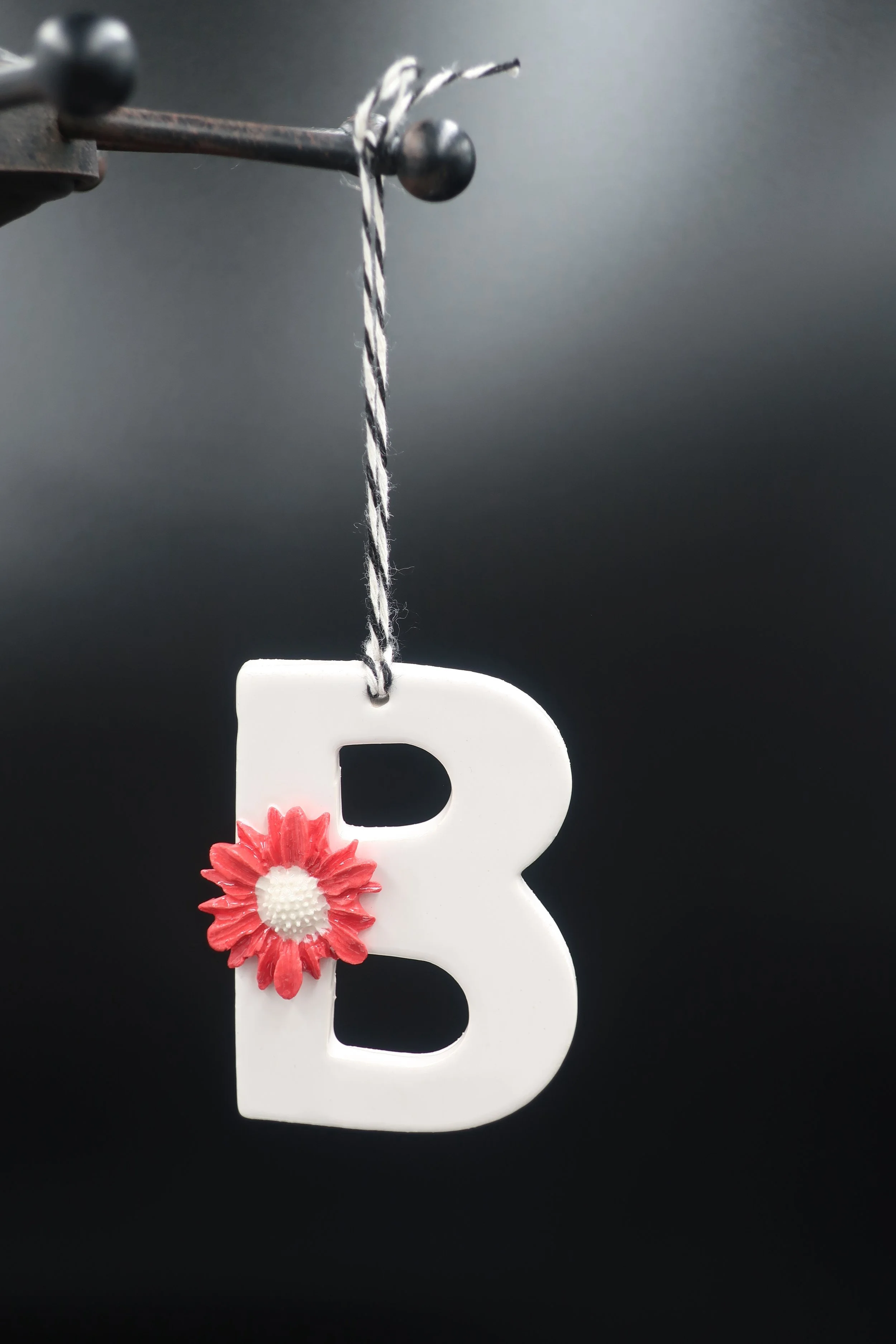 JPEG image-1E168FCF6423-9.jpeg