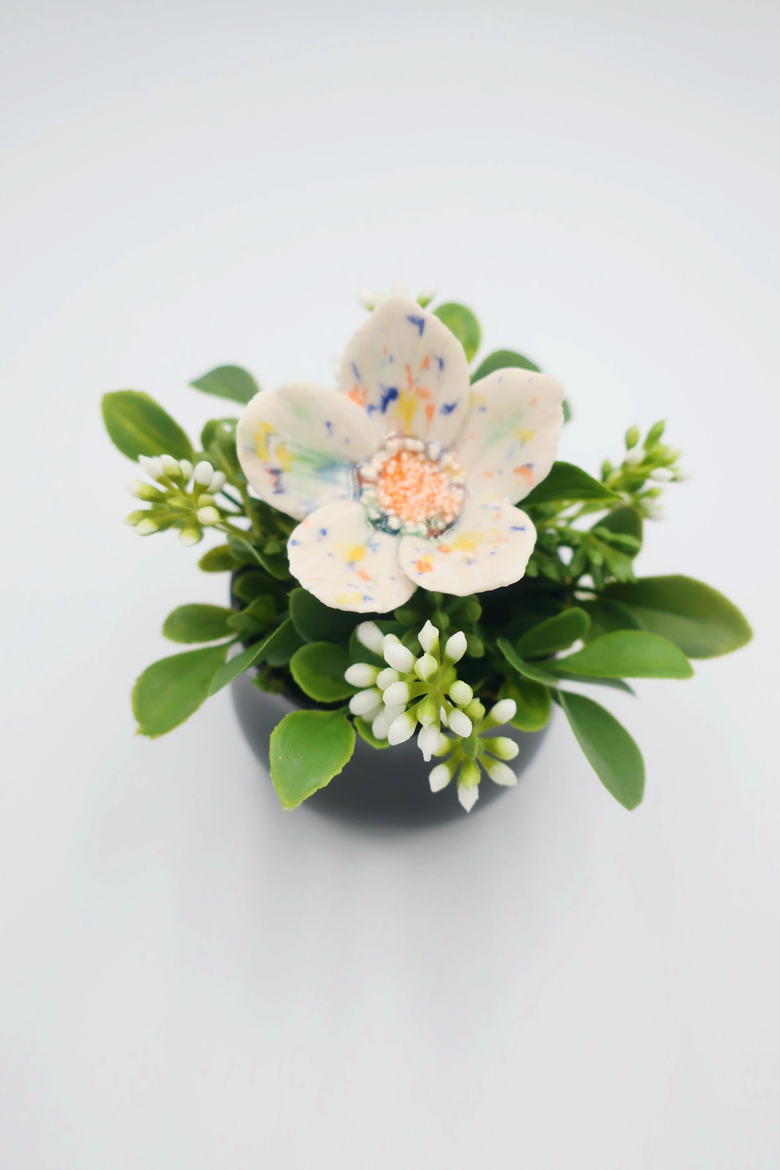 JPEG image-03FF205E0D0F-1.jpeg