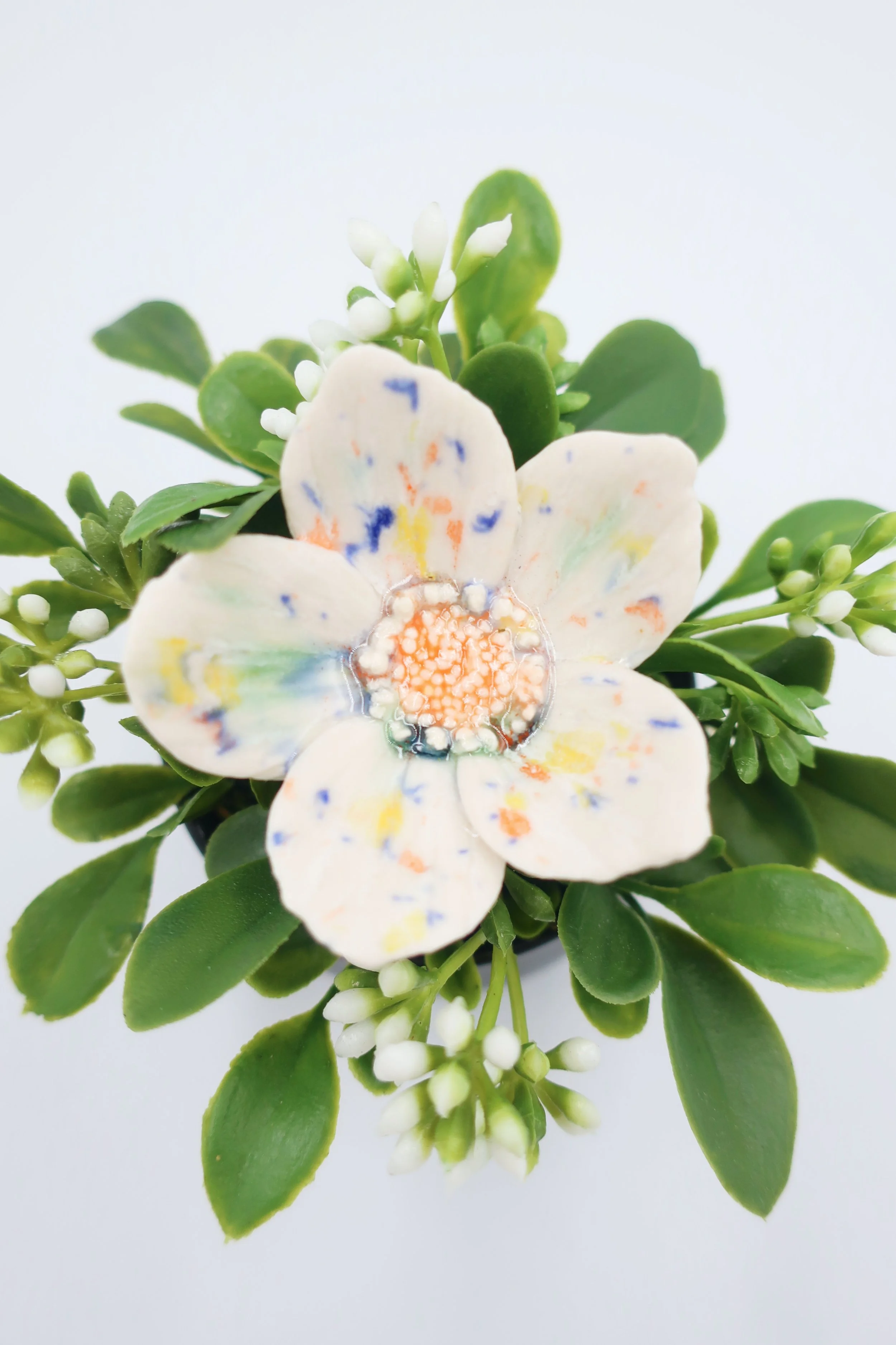 JPEG image-03FF205E0D0F-19.jpeg