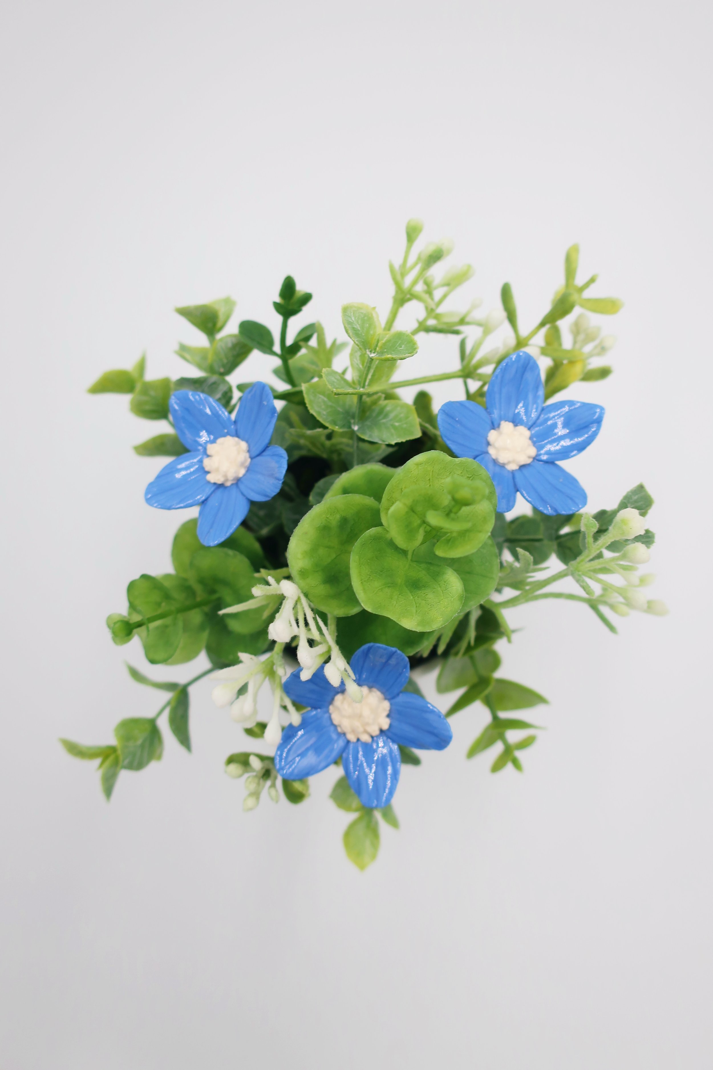 JPEG image-2D92FCD79D7A-12.jpeg