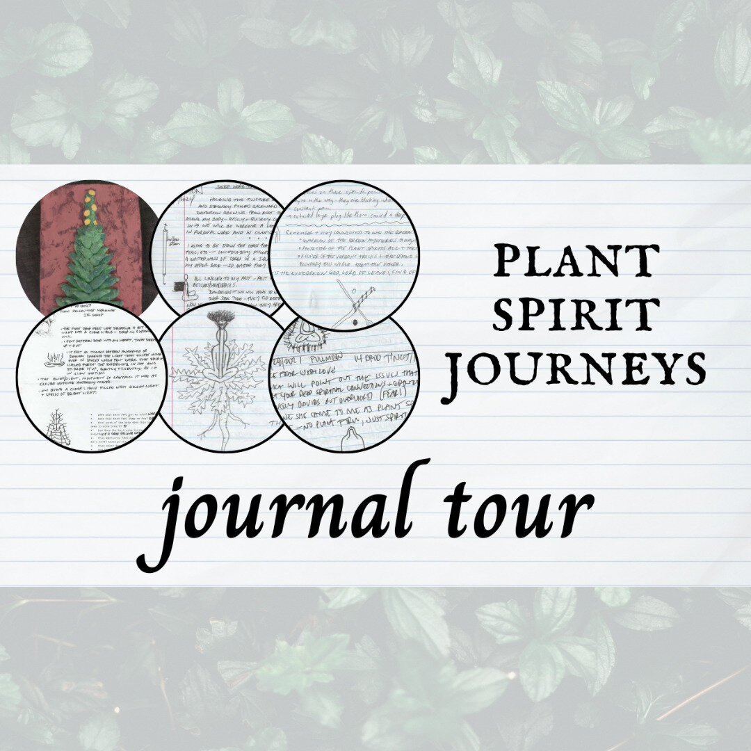 Every month I offer an 'advanced' class which is really just an opportunity to dig deep into one aspect of plant spirit work. This month, I'm giving you a tour of my plant journey journals- a look at how I work with the plants, how they communicate w